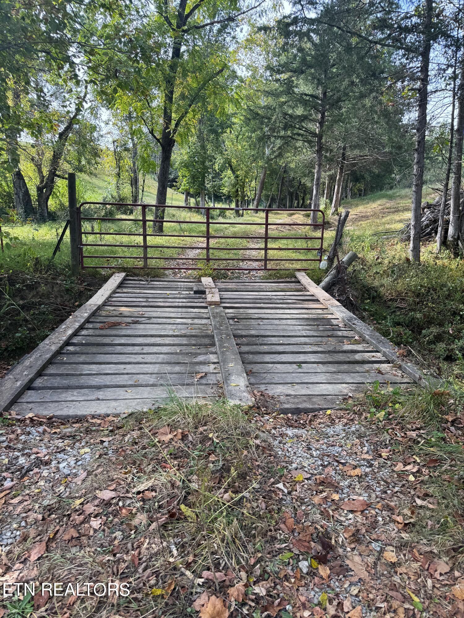 790 Lonesome Pine Rd Property Photo 18