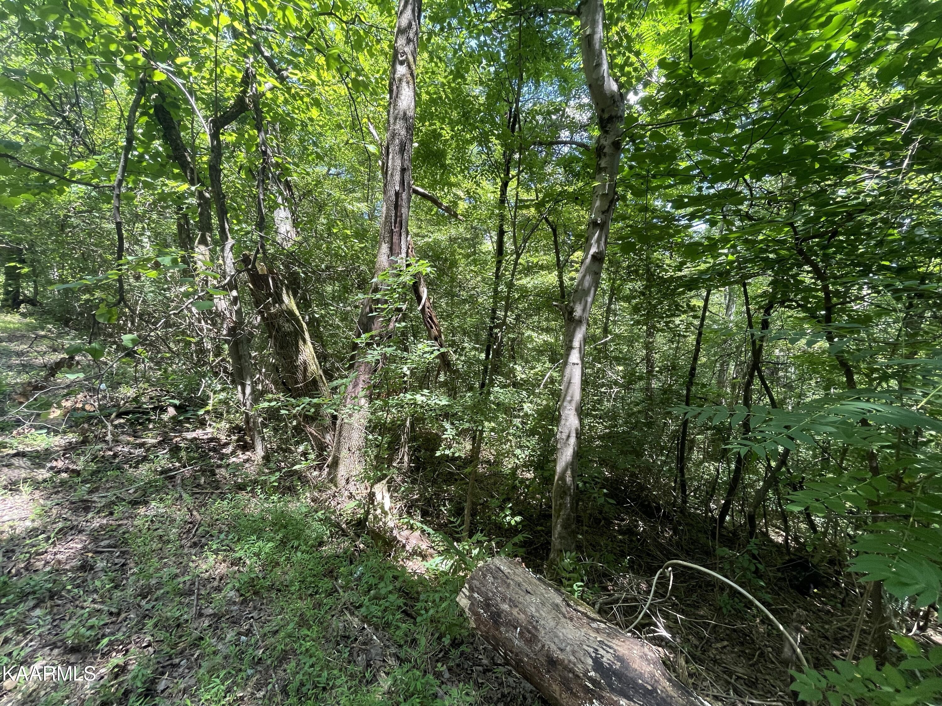 Michael Way Property Photo 1