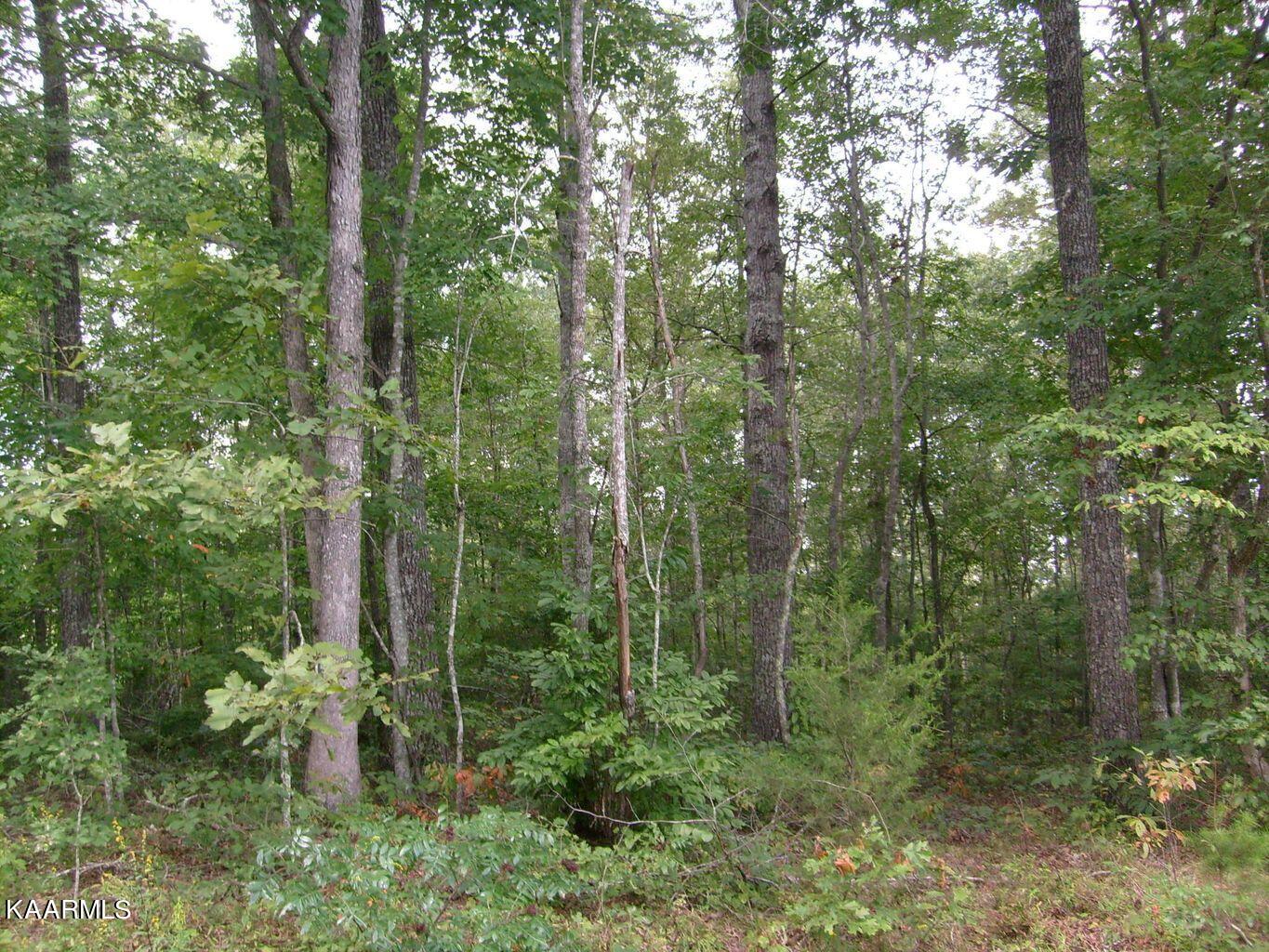 4133 Chica Rd Property Photo