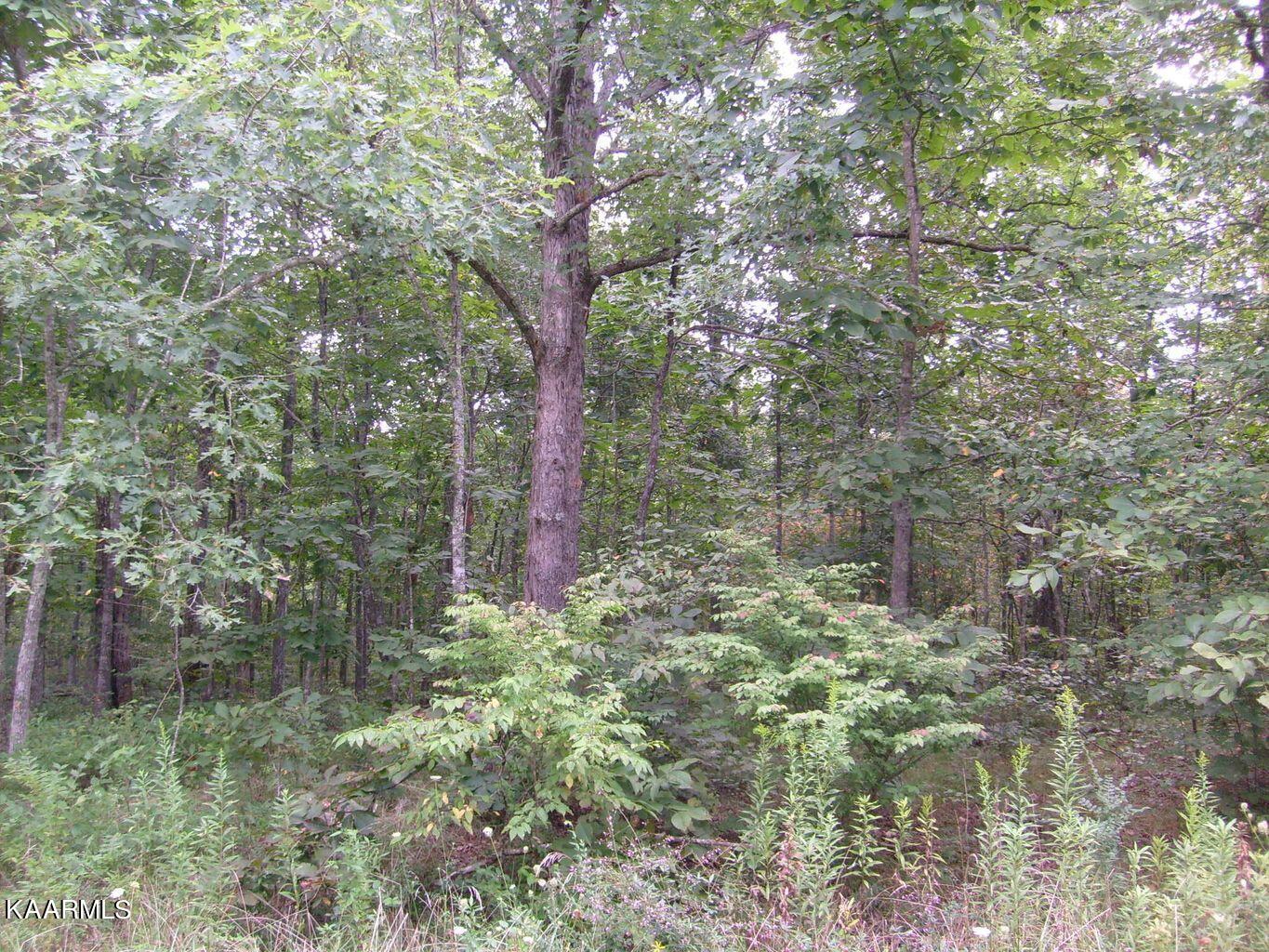 2023 Coweta Drive Property Photo