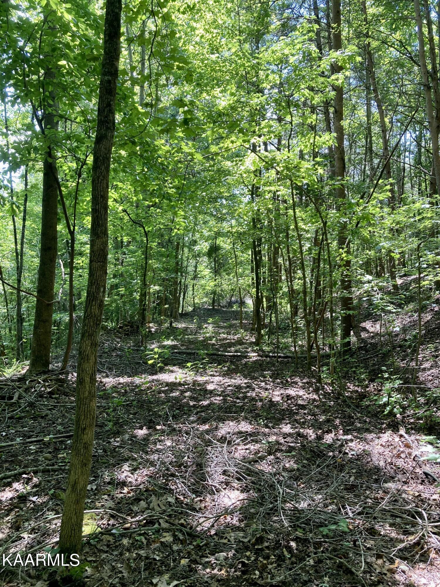 Lakewood Village Drive Property Photo 13