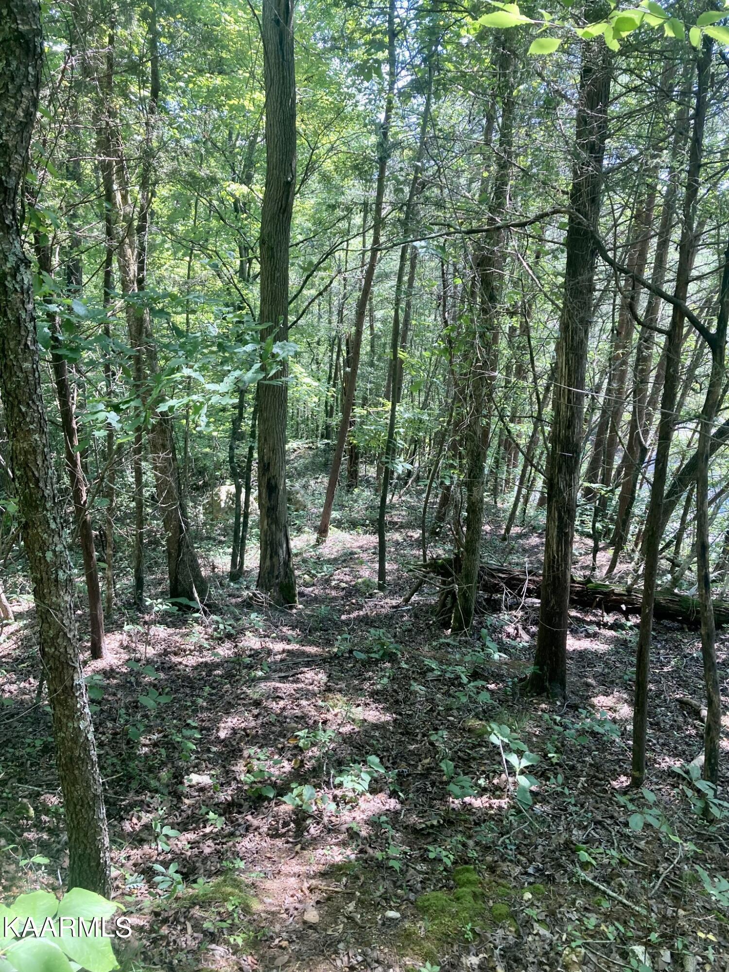 Lakewood Village Drive Property Photo 15