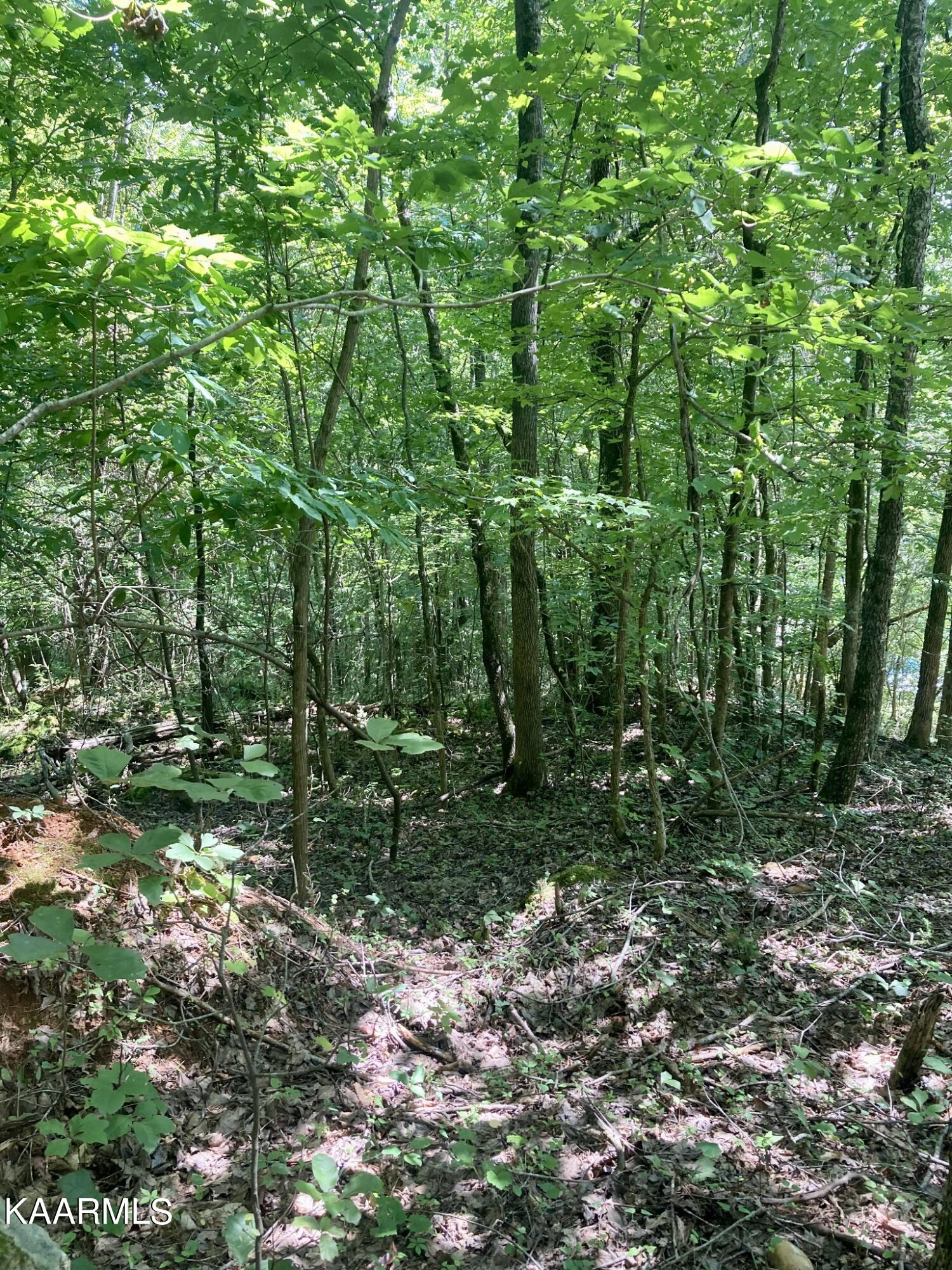 Lakewood Village Drive Property Photo 17