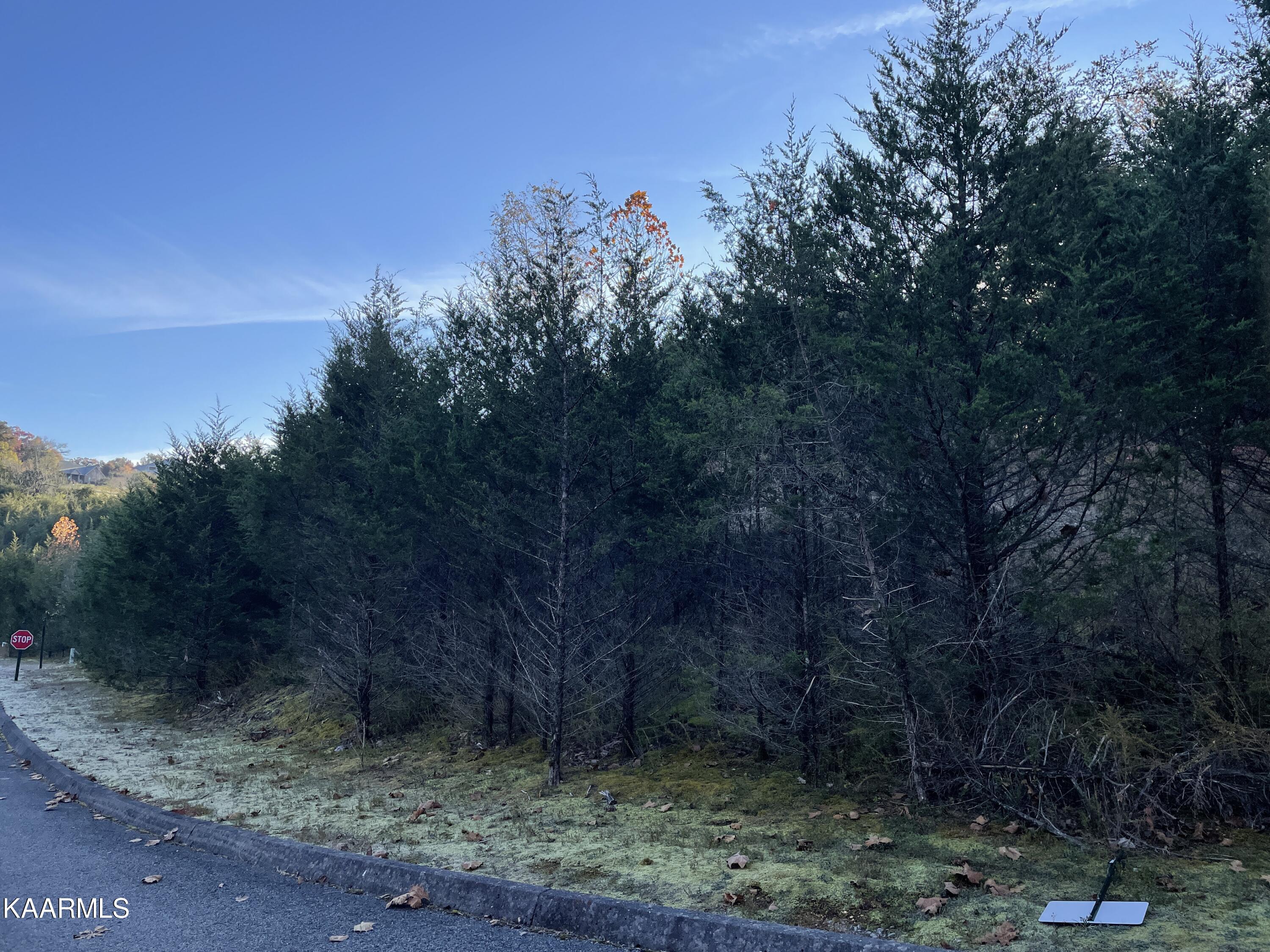 Par Place Property Photo 19