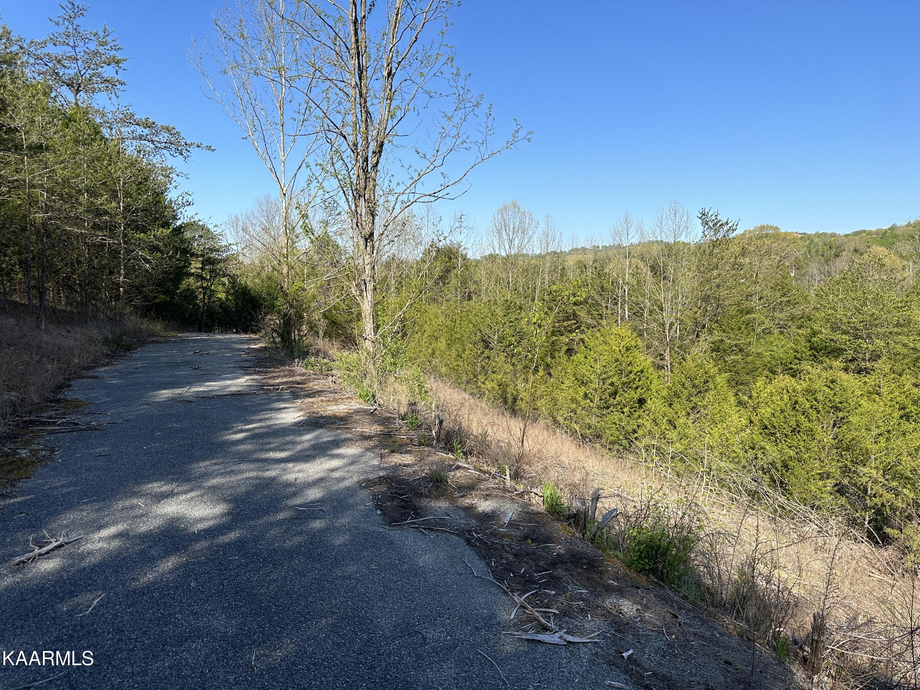 Par Place Property Photo 23