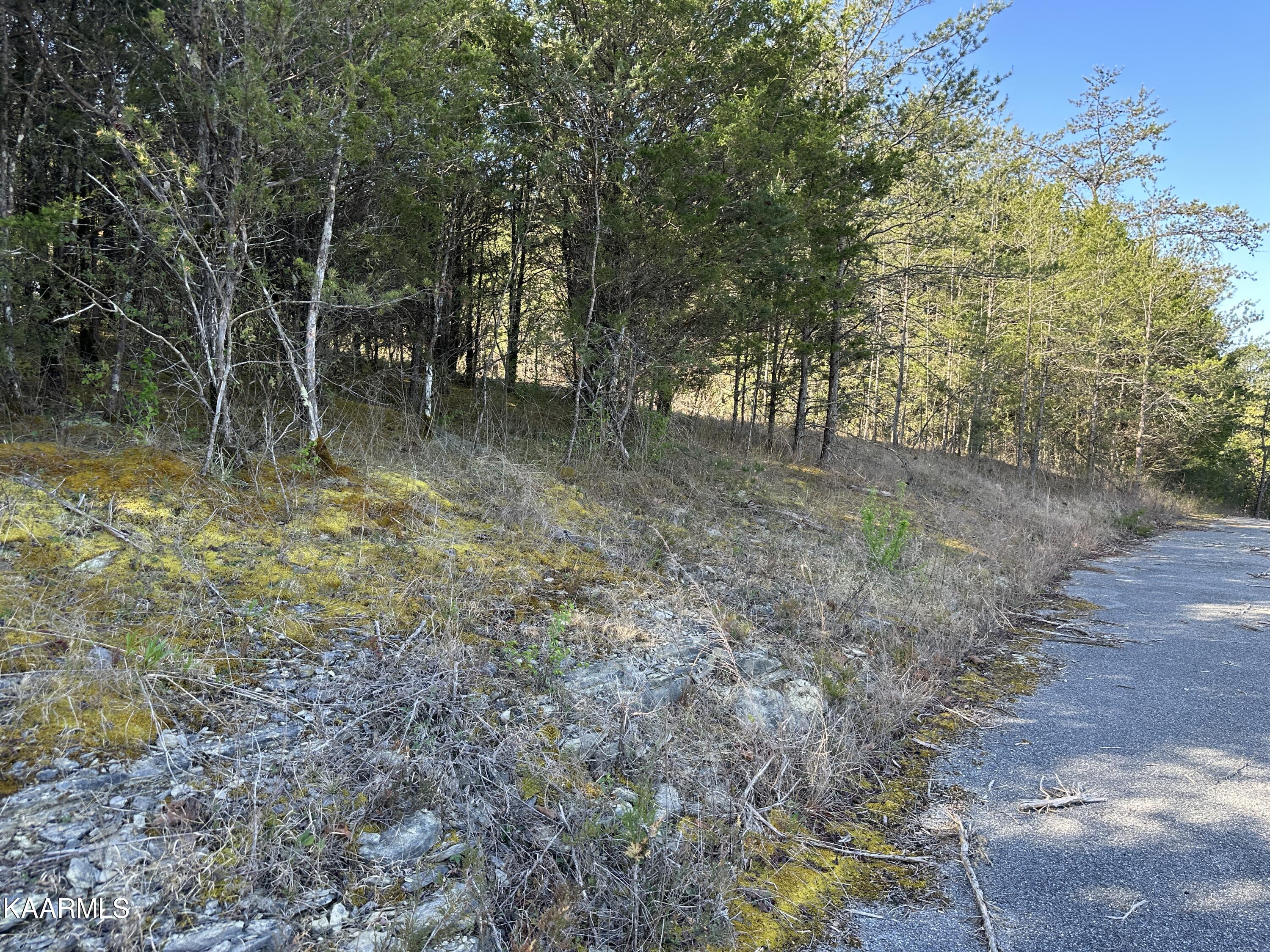 Par Place Property Photo 27