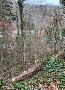 Indian River Boat Dock Rd Property Photo