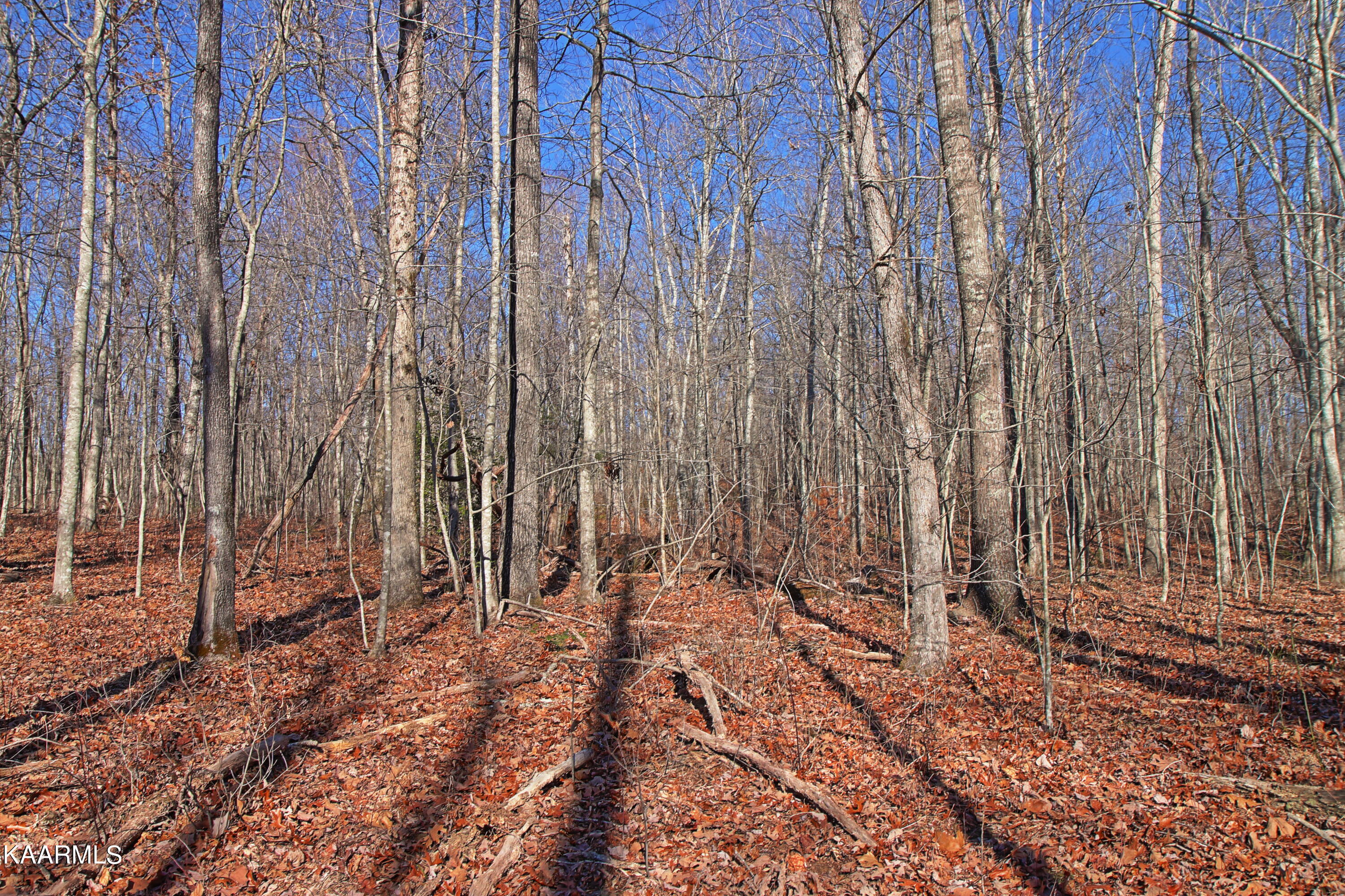 72 Acres Cole Place Rd Property Photo
