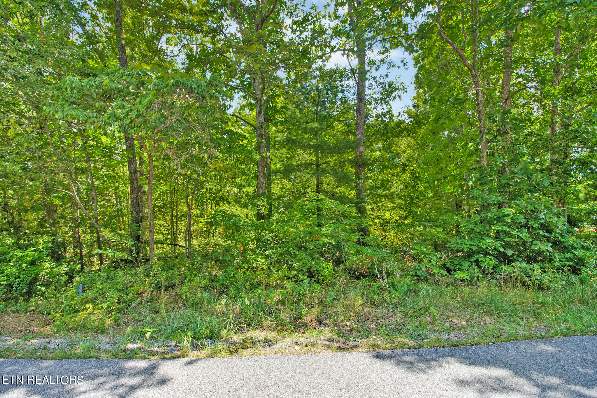 8735 Property Photo 24