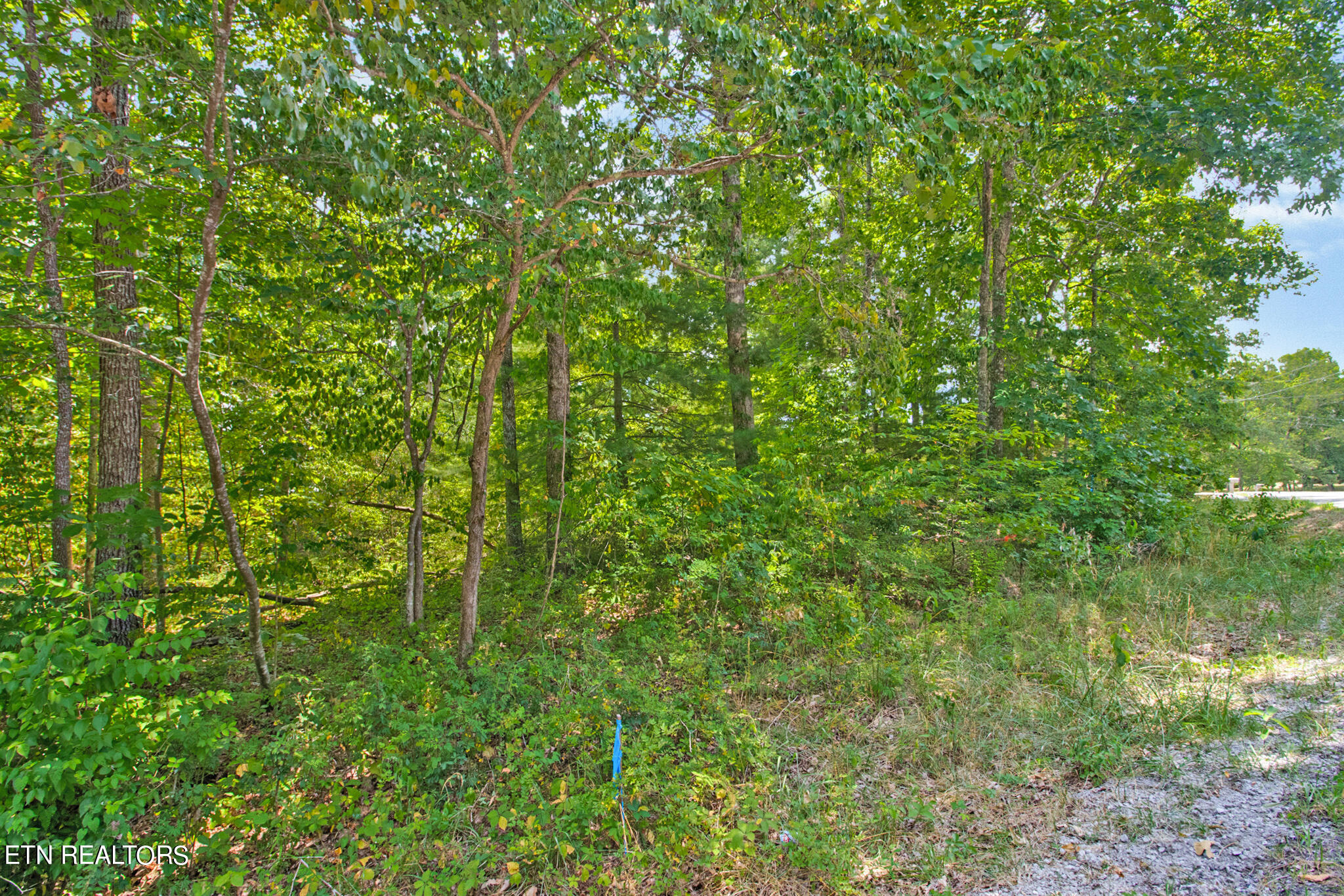 8735 Property Photo 27