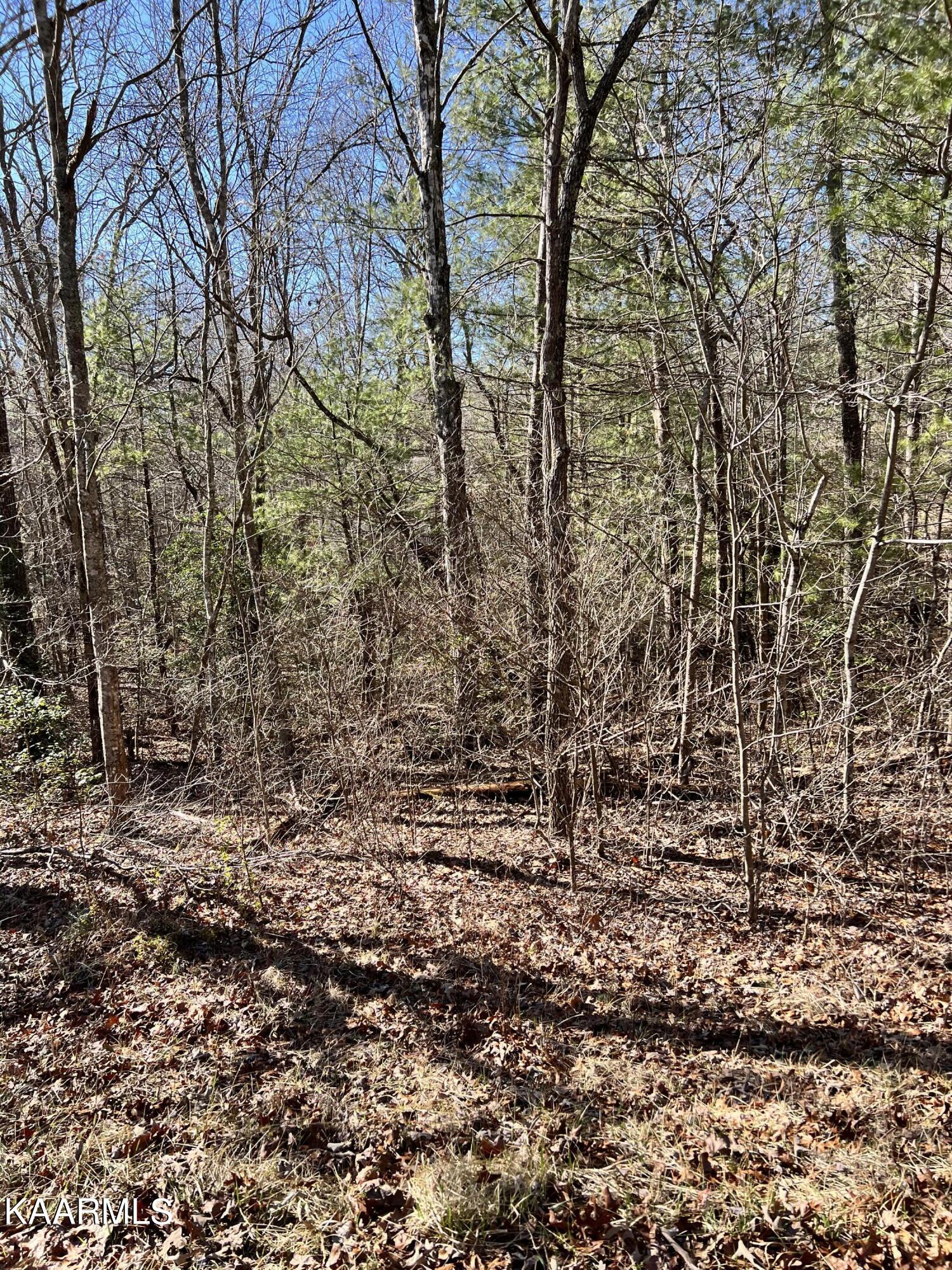 118 Natchez Circle Property Photo 1