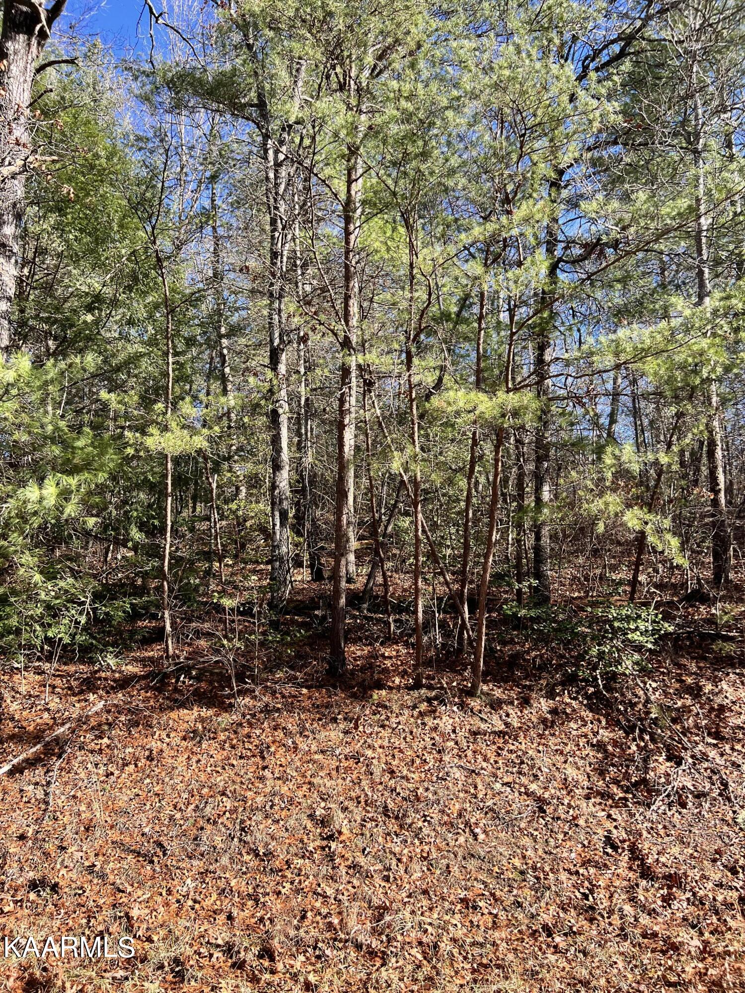 119 Natchez Circle Property Photo 1