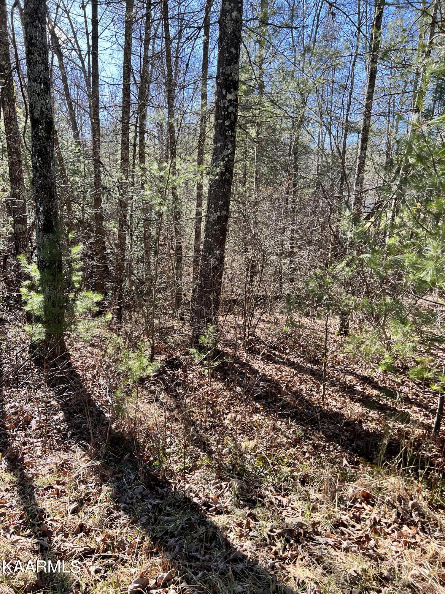 136 Natchez Circle Property Photo 1