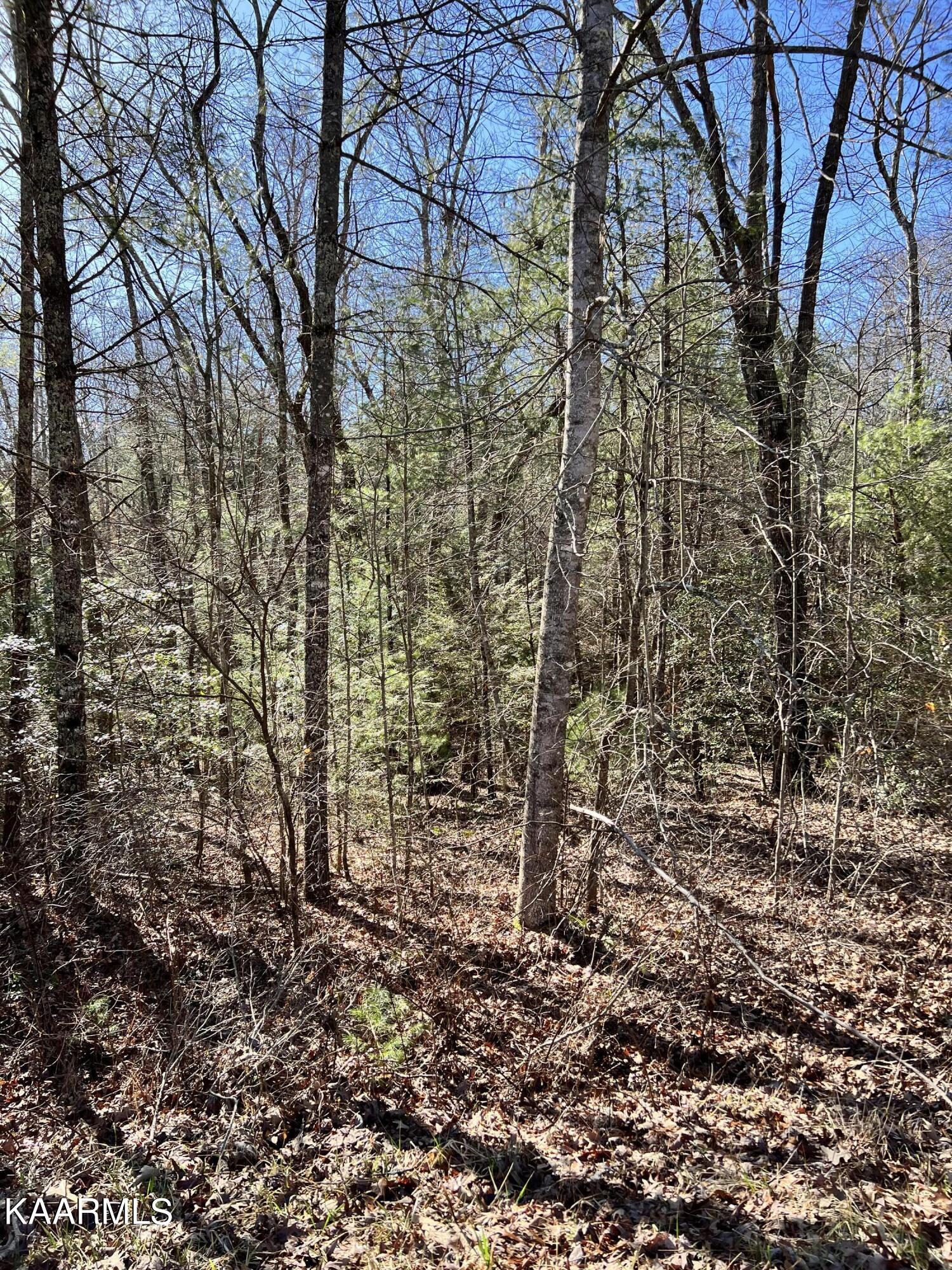 140 Natchez Circle Property Photo 1