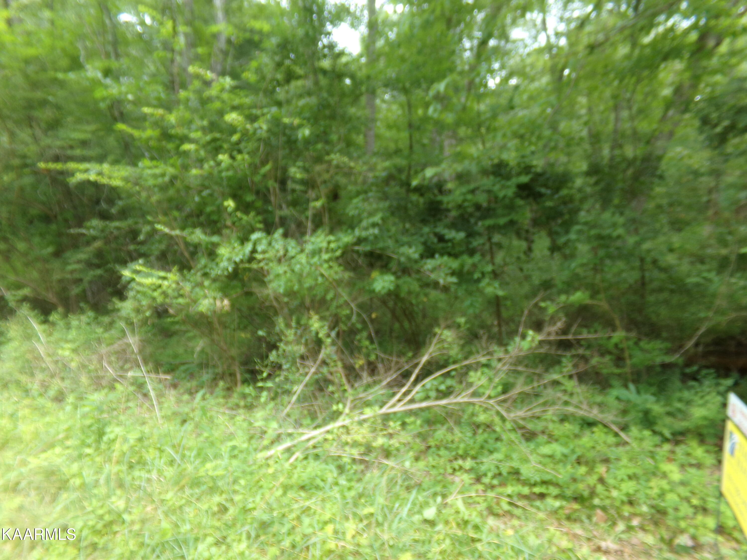 1302 Black Cloud Drive Property Photo