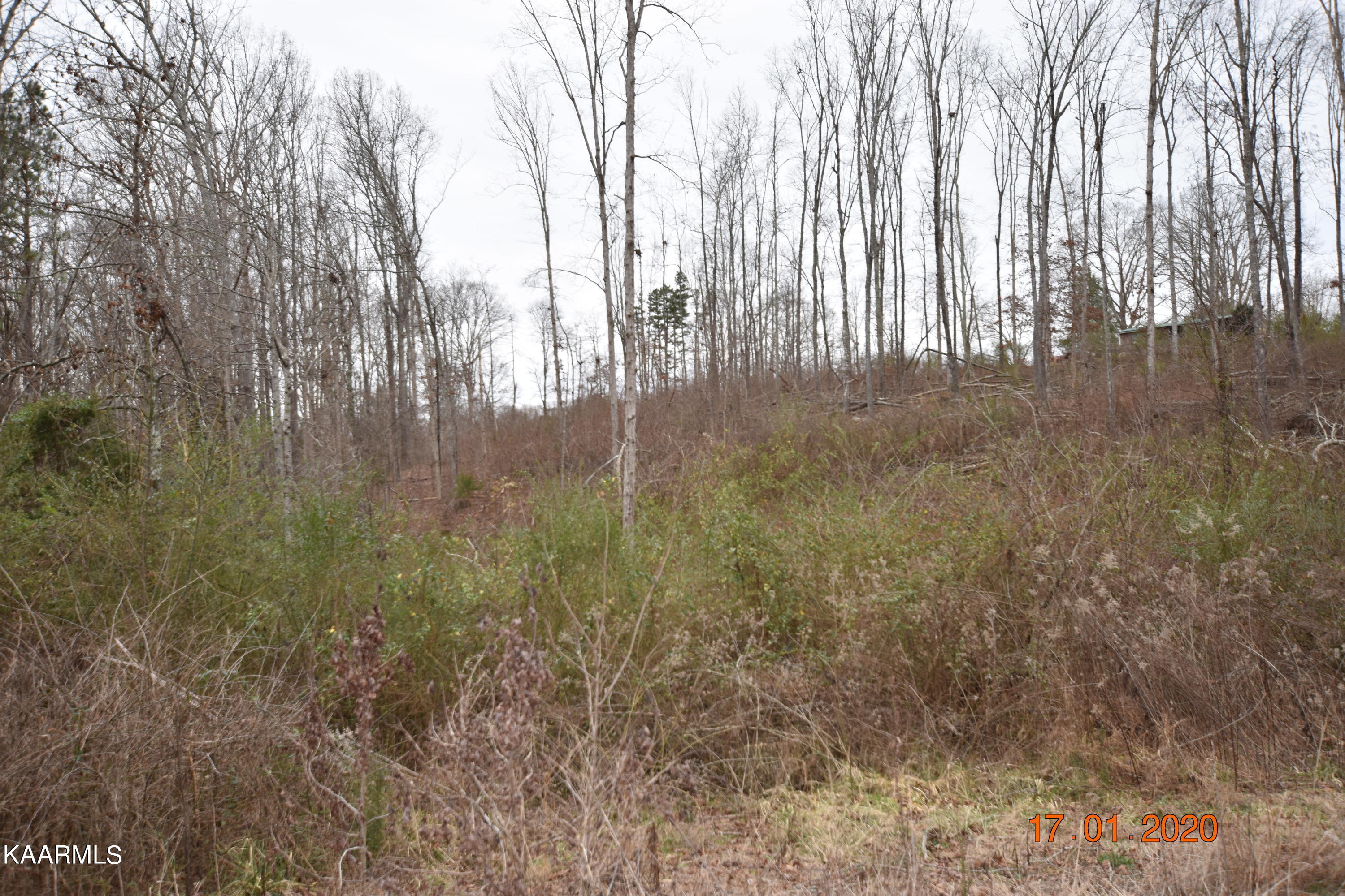 Lot 3 Maple Grove Rd Property Photo