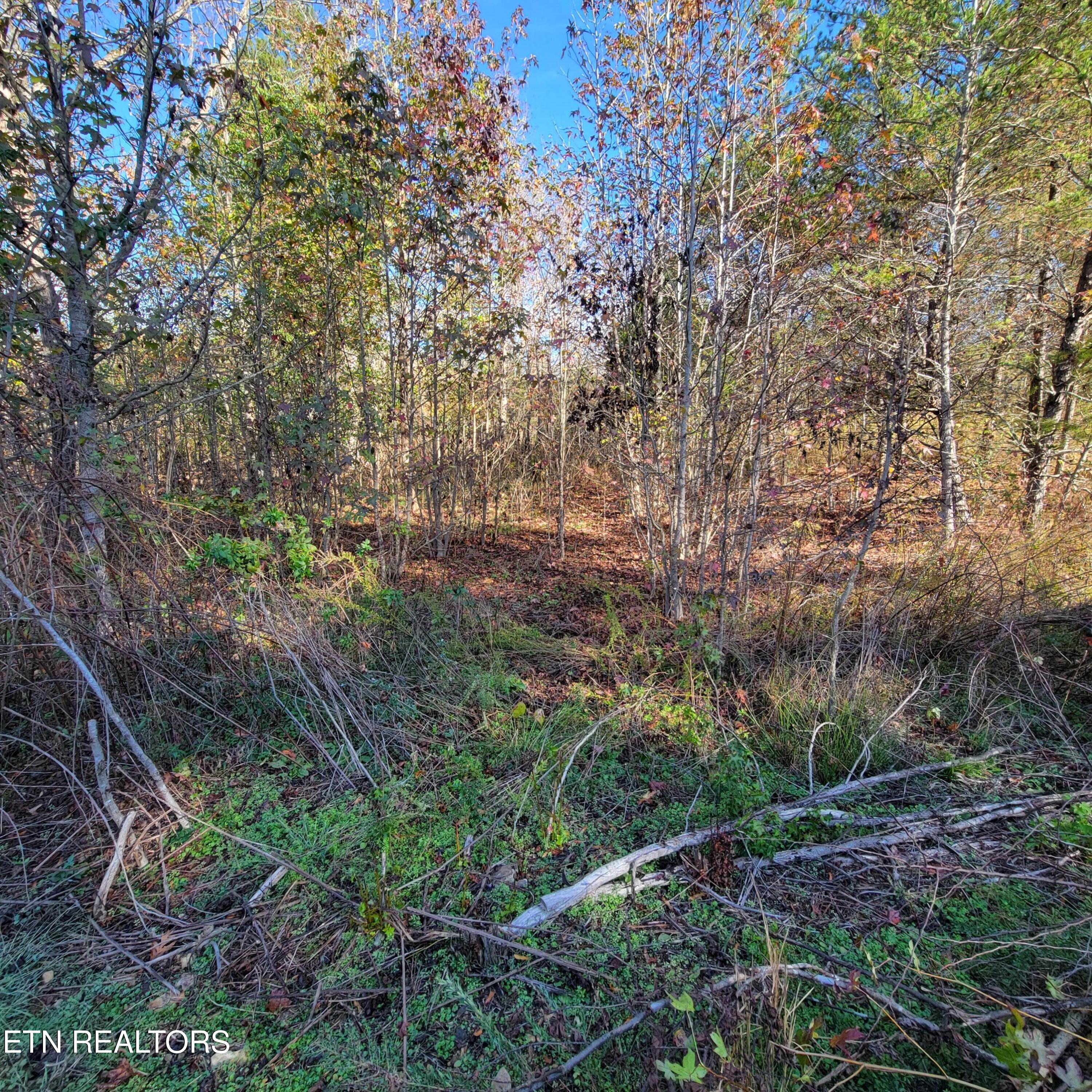 201 Burr Oak Lane Property Photo 2