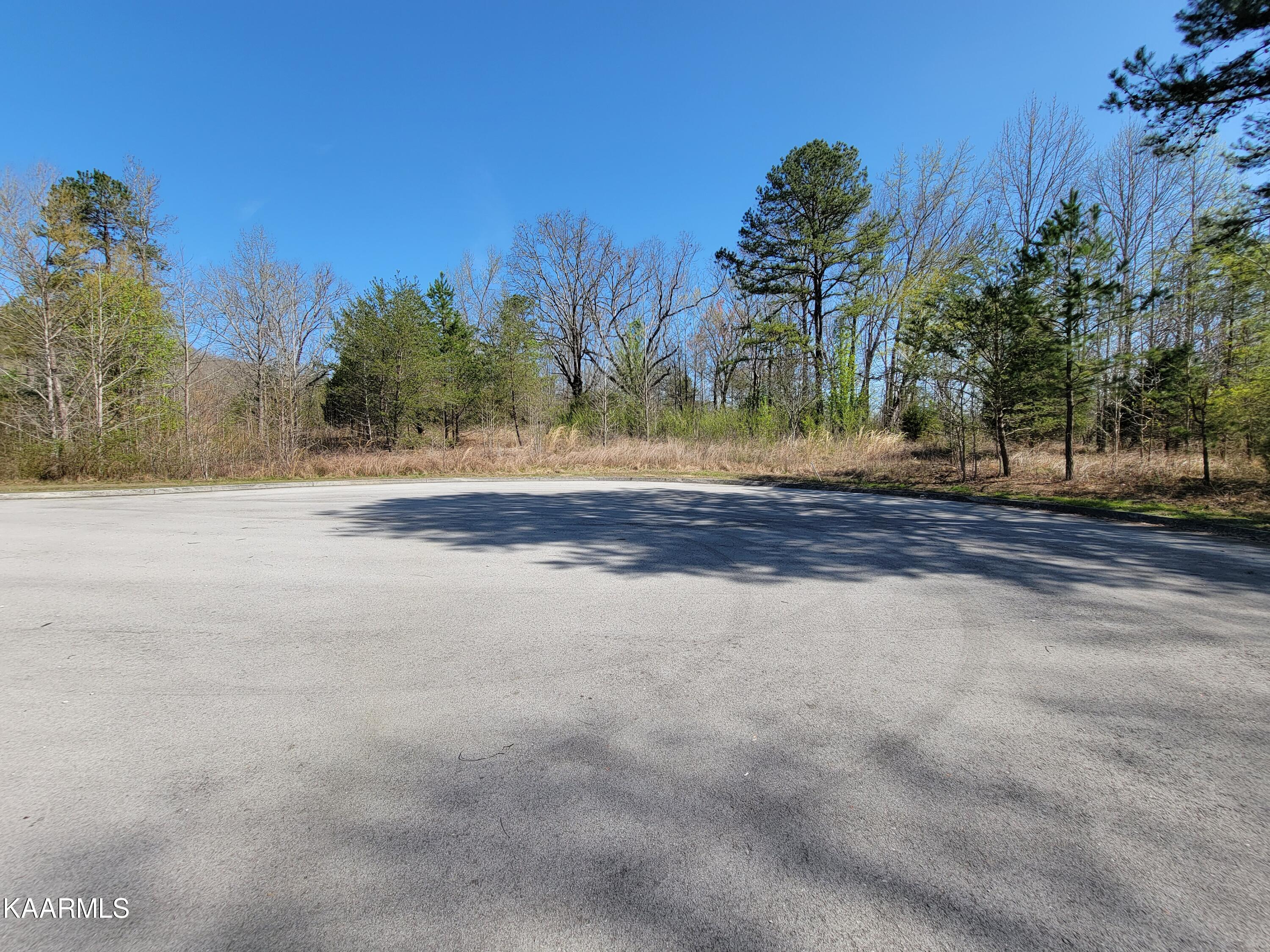 201 Burr Oak Lane Property Photo 3