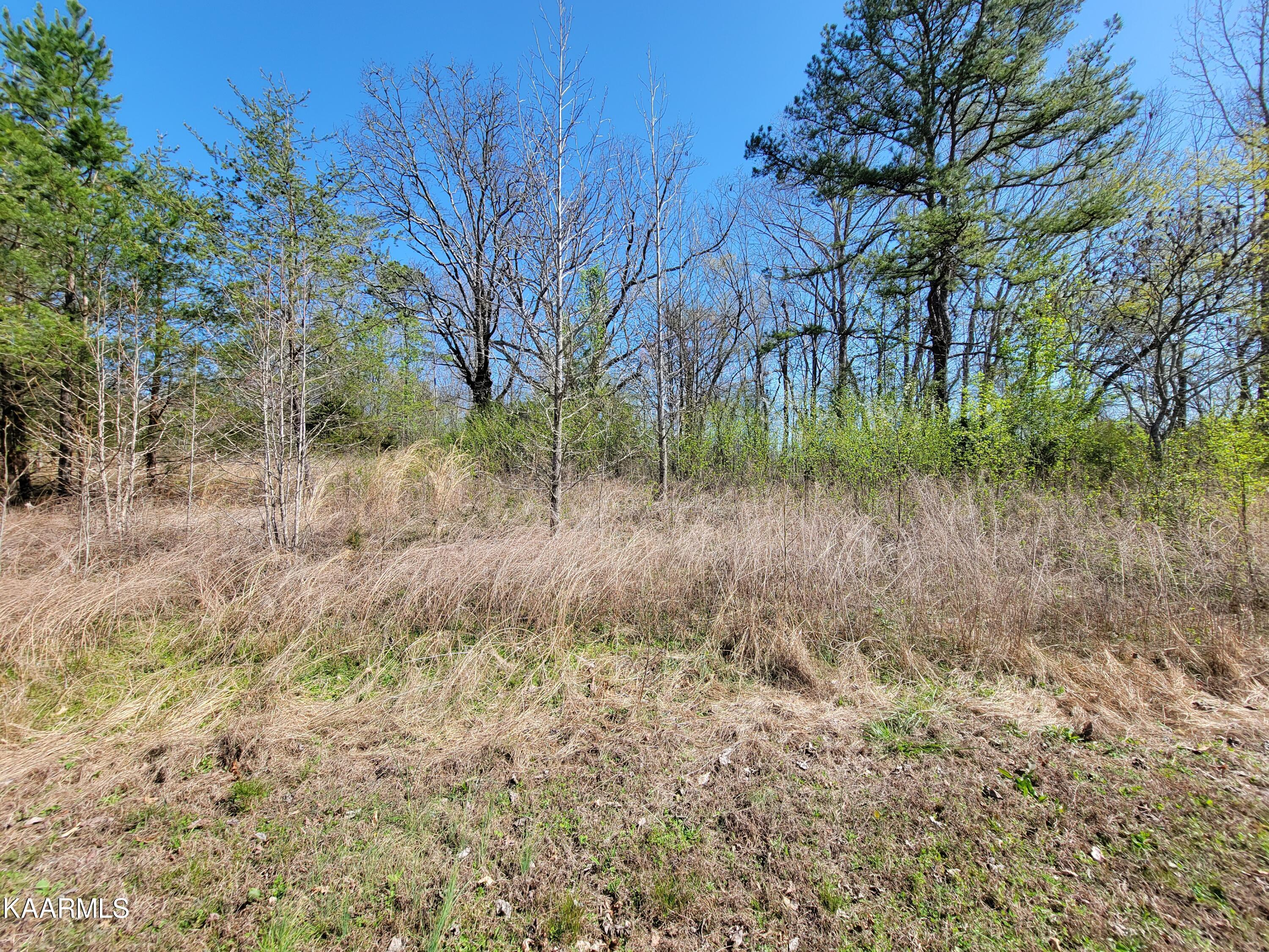 201 Burr Oak Lane Property Photo 7