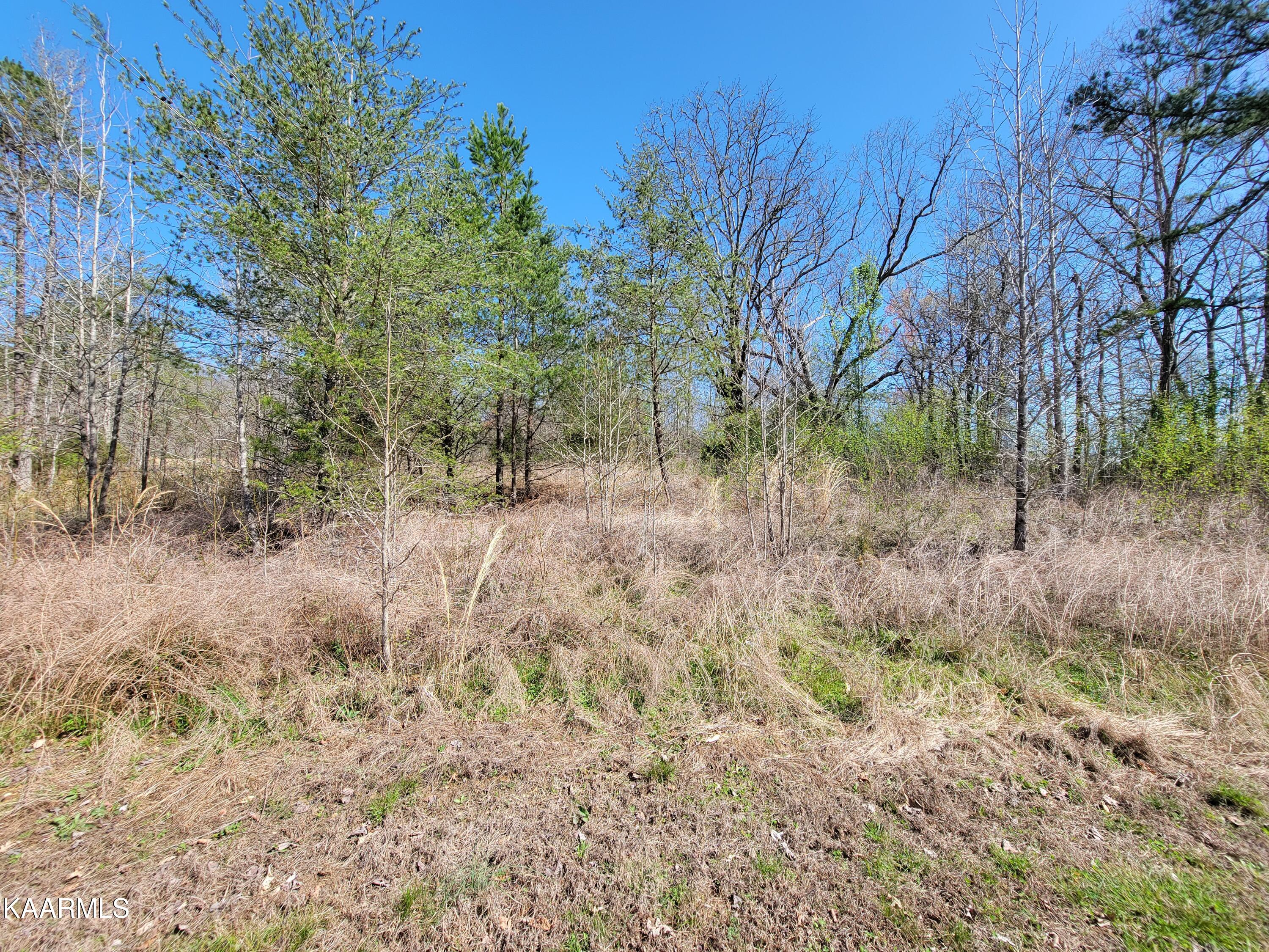 201 Burr Oak Lane Property Photo 10