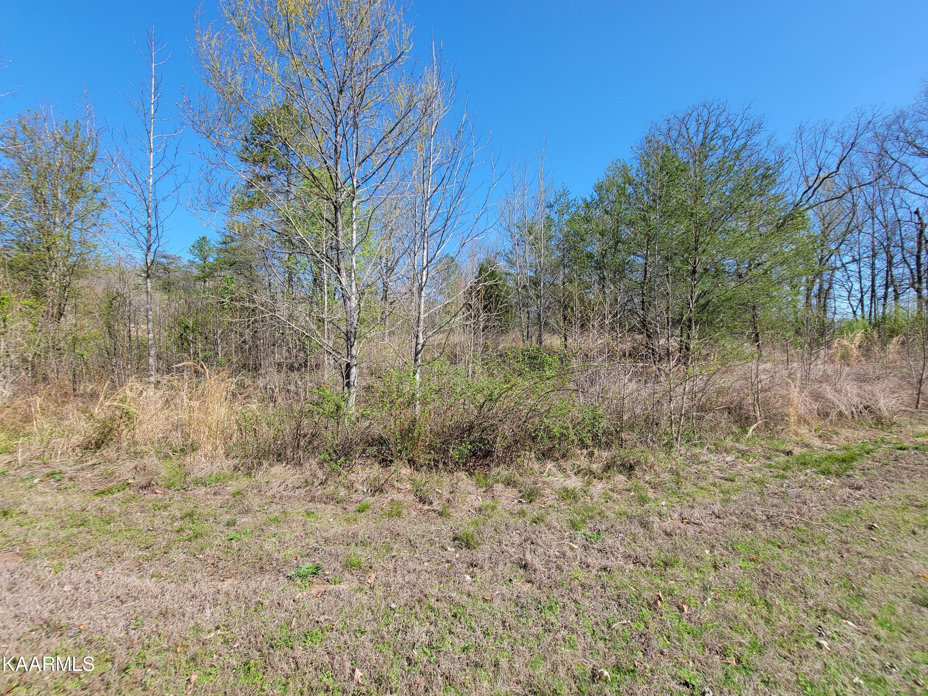 201 Burr Oak Lane Property Photo 11