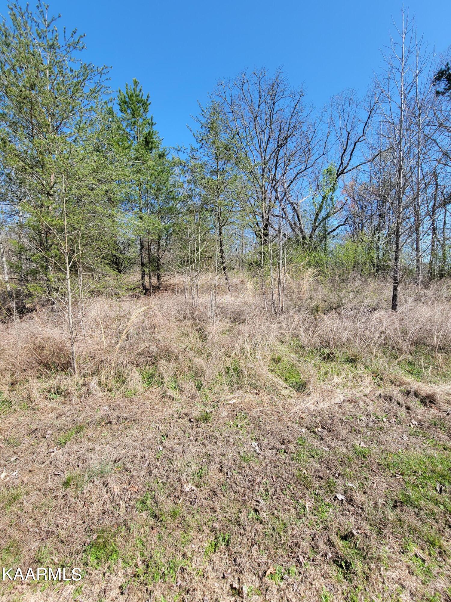 201 Burr Oak Lane Property Photo 16