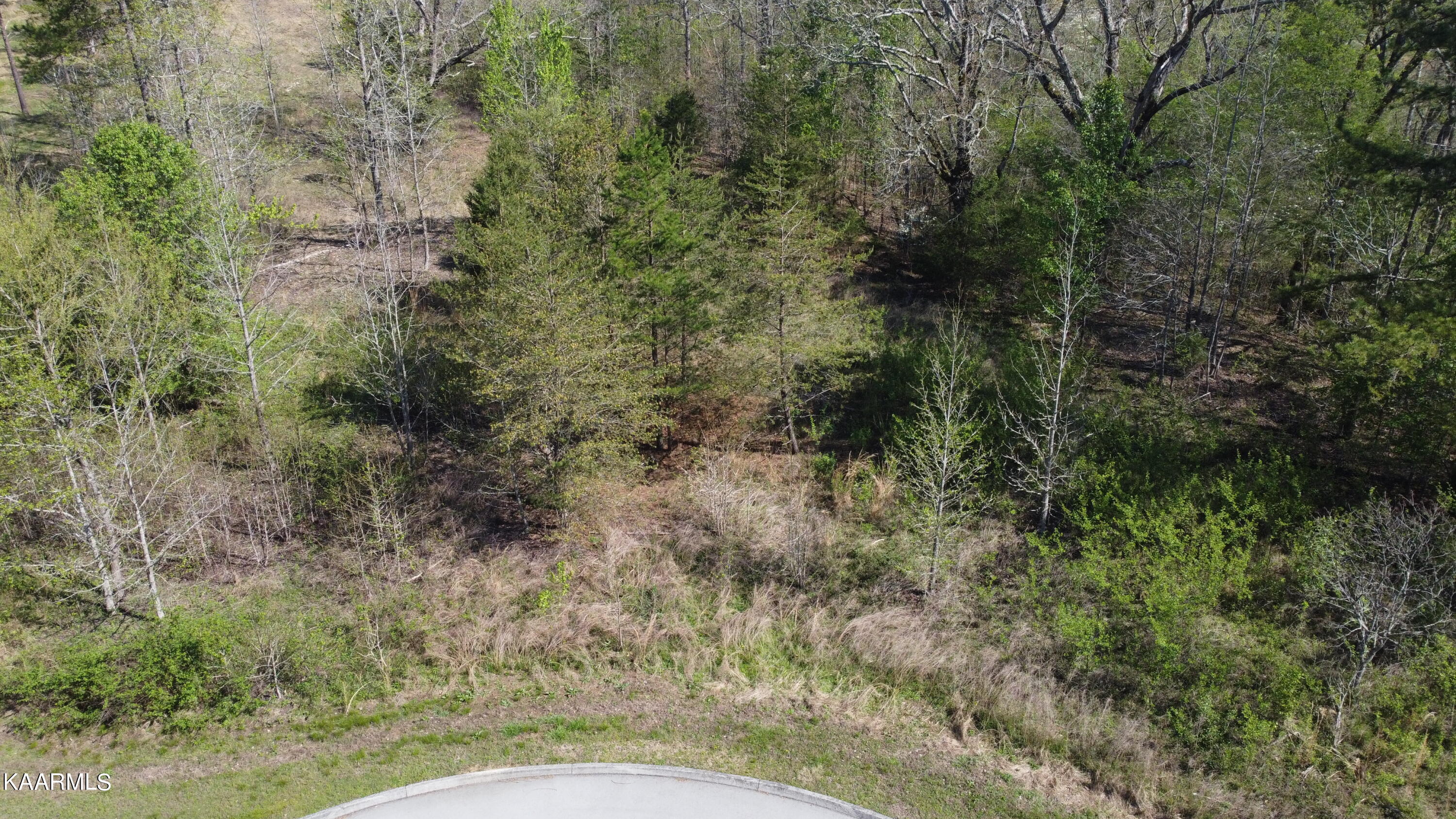 201 Burr Oak Lane Property Photo 19
