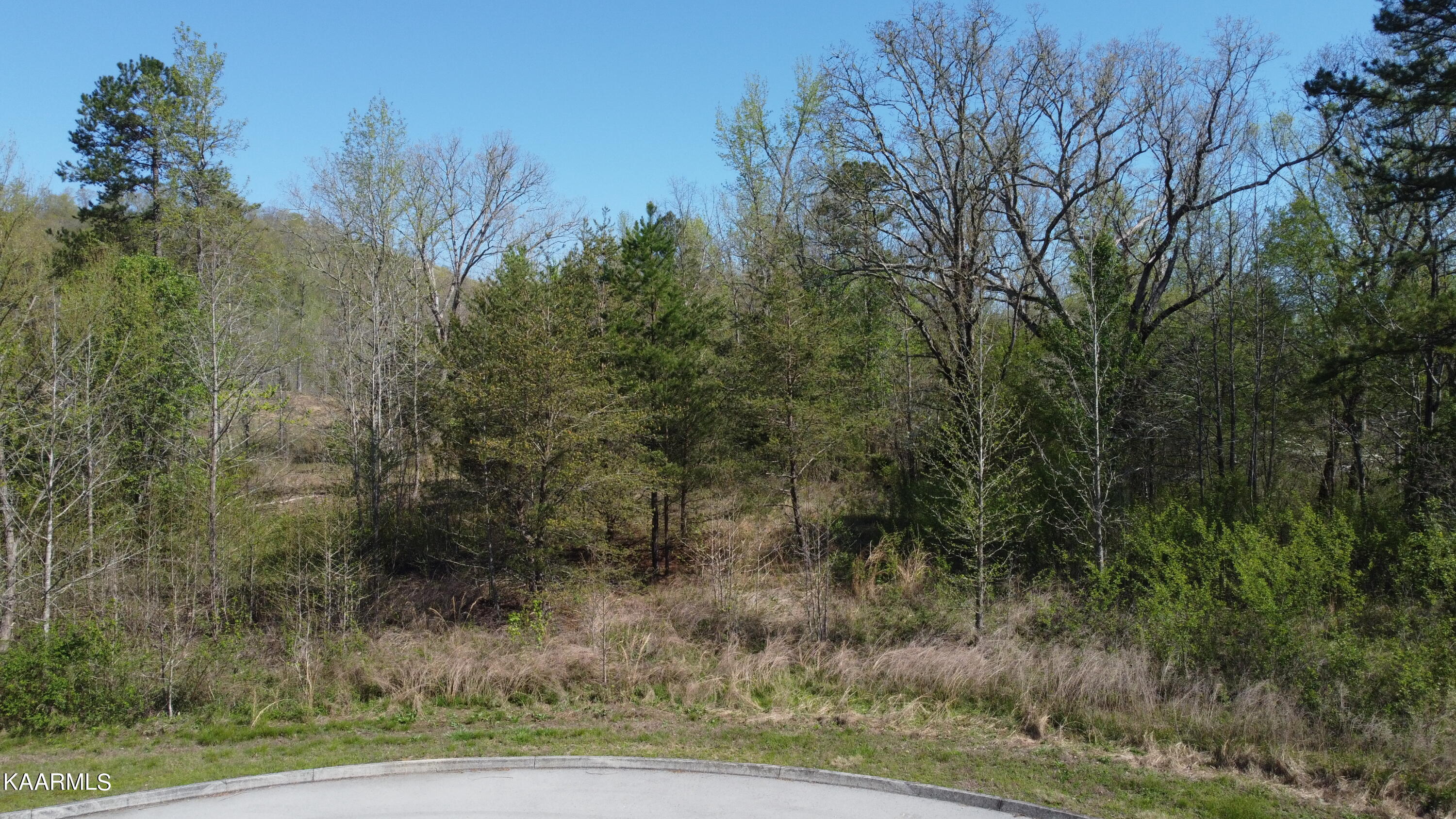 201 Burr Oak Lane Property Photo 20