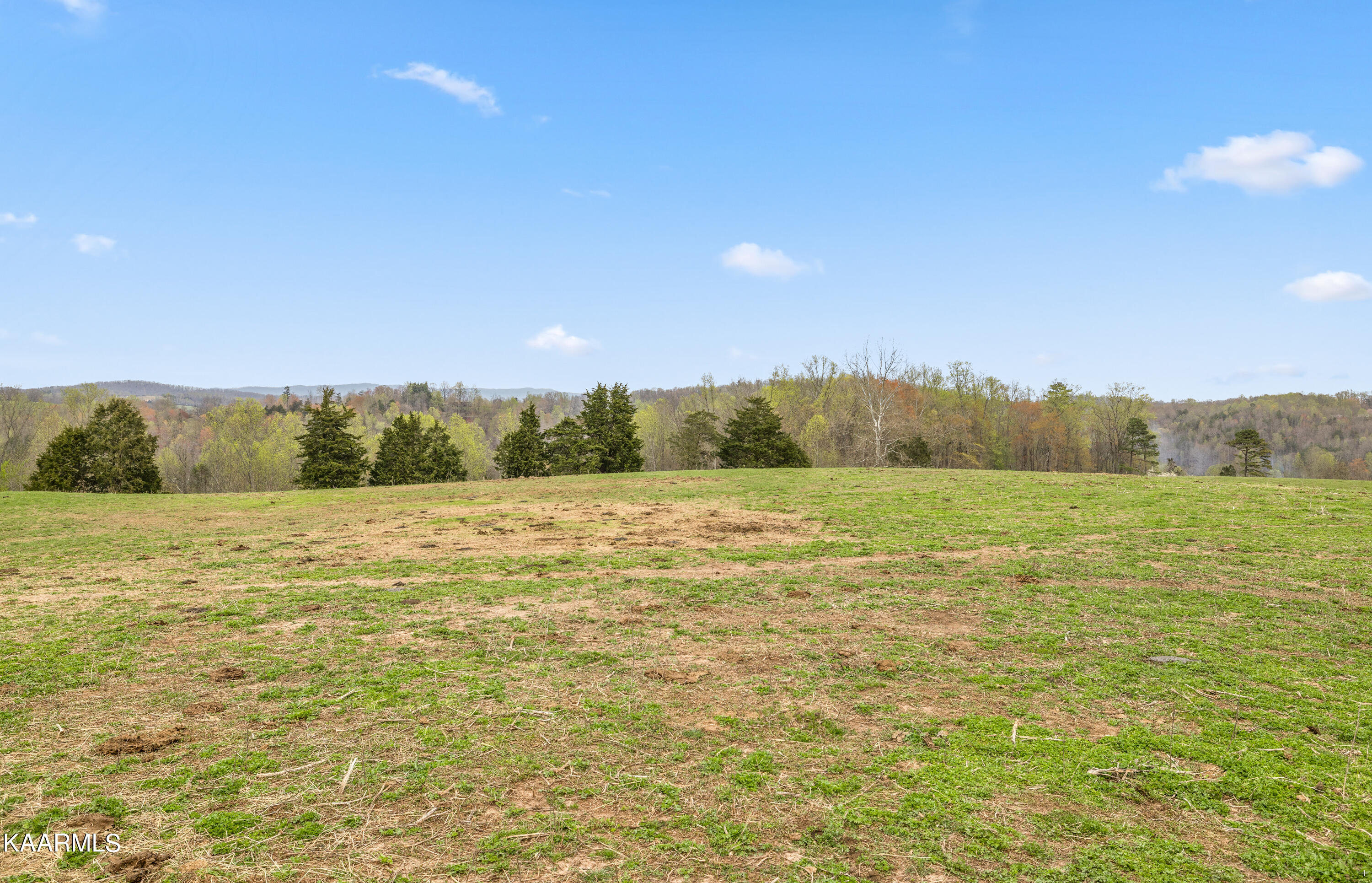 Country Oaks Lane Property Photo 34