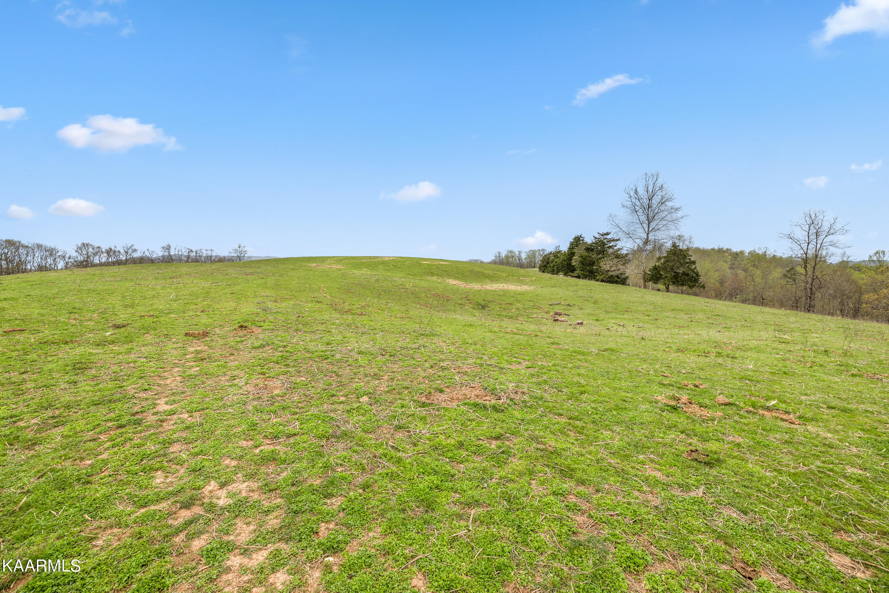 Country Oaks Lane Property Photo 37