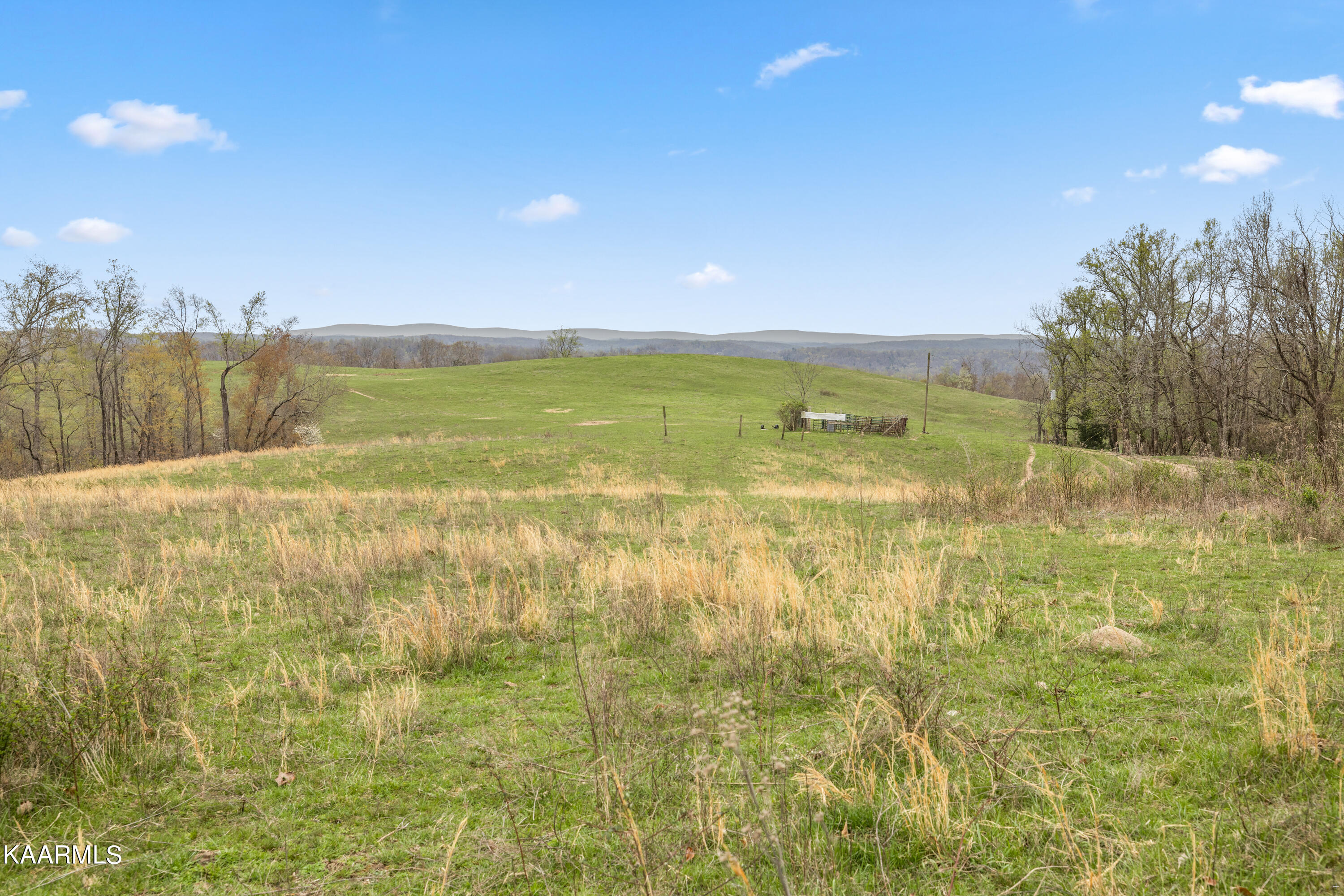 Country Oaks Lane Property Photo 49