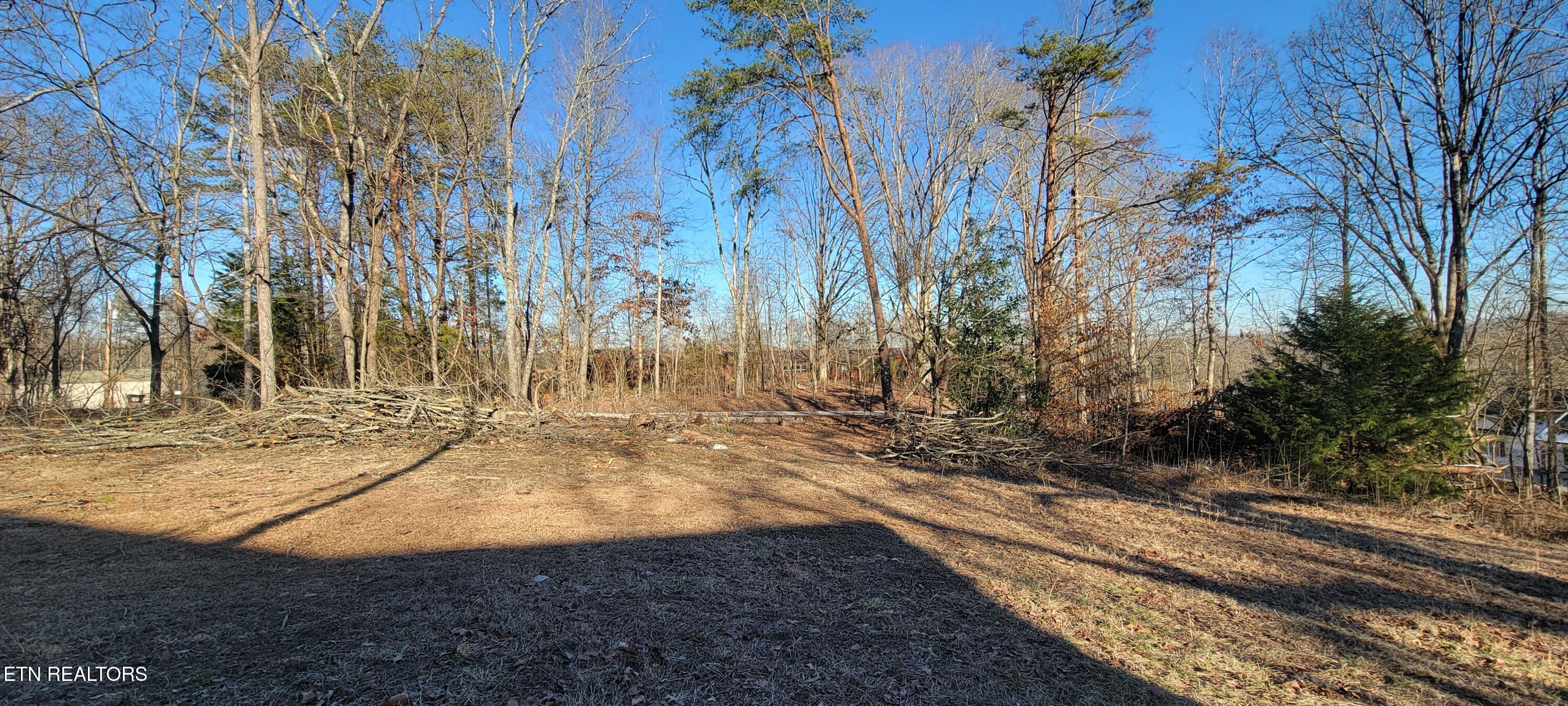 910 Skyline Drive Property Photo 21
