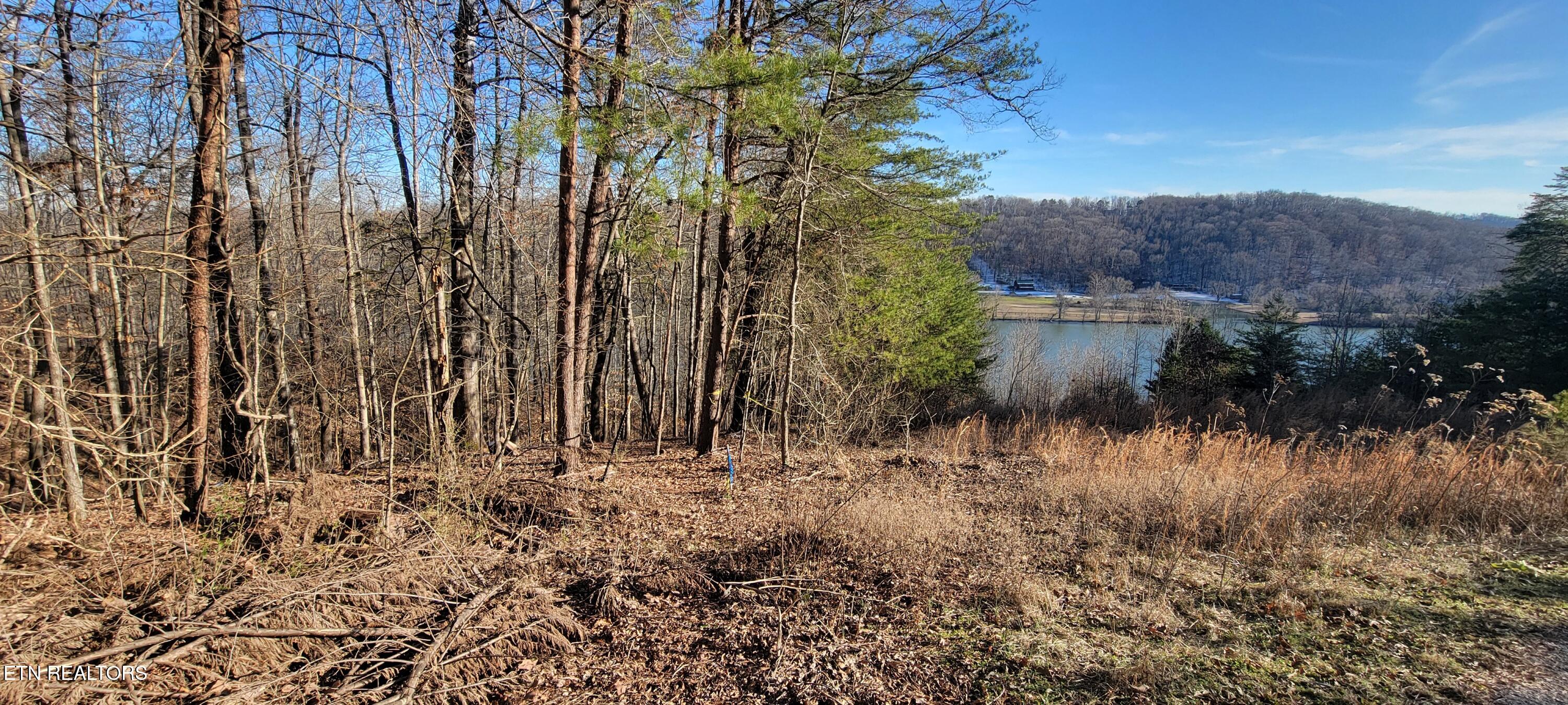 910 Skyline Drive Property Photo 24