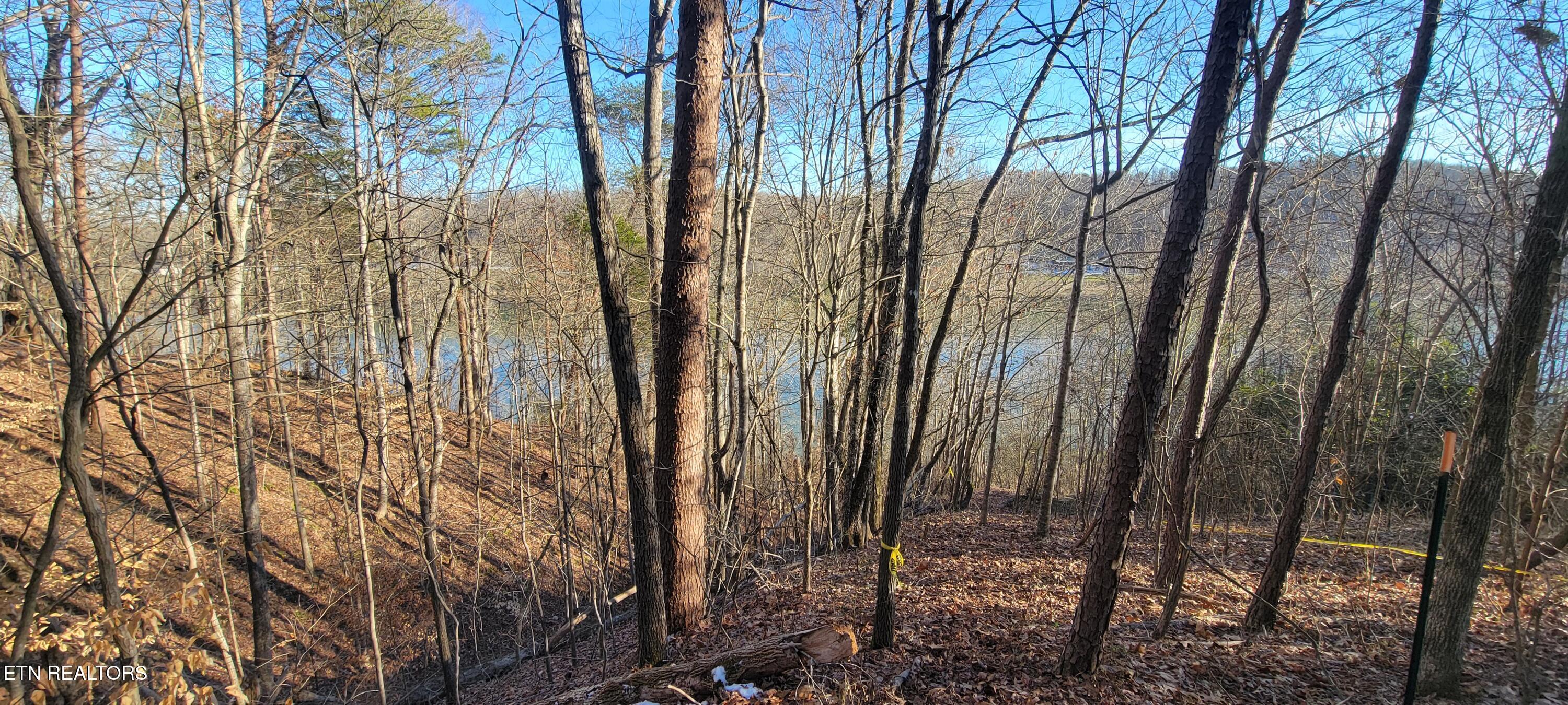910 Skyline Drive Property Photo 26