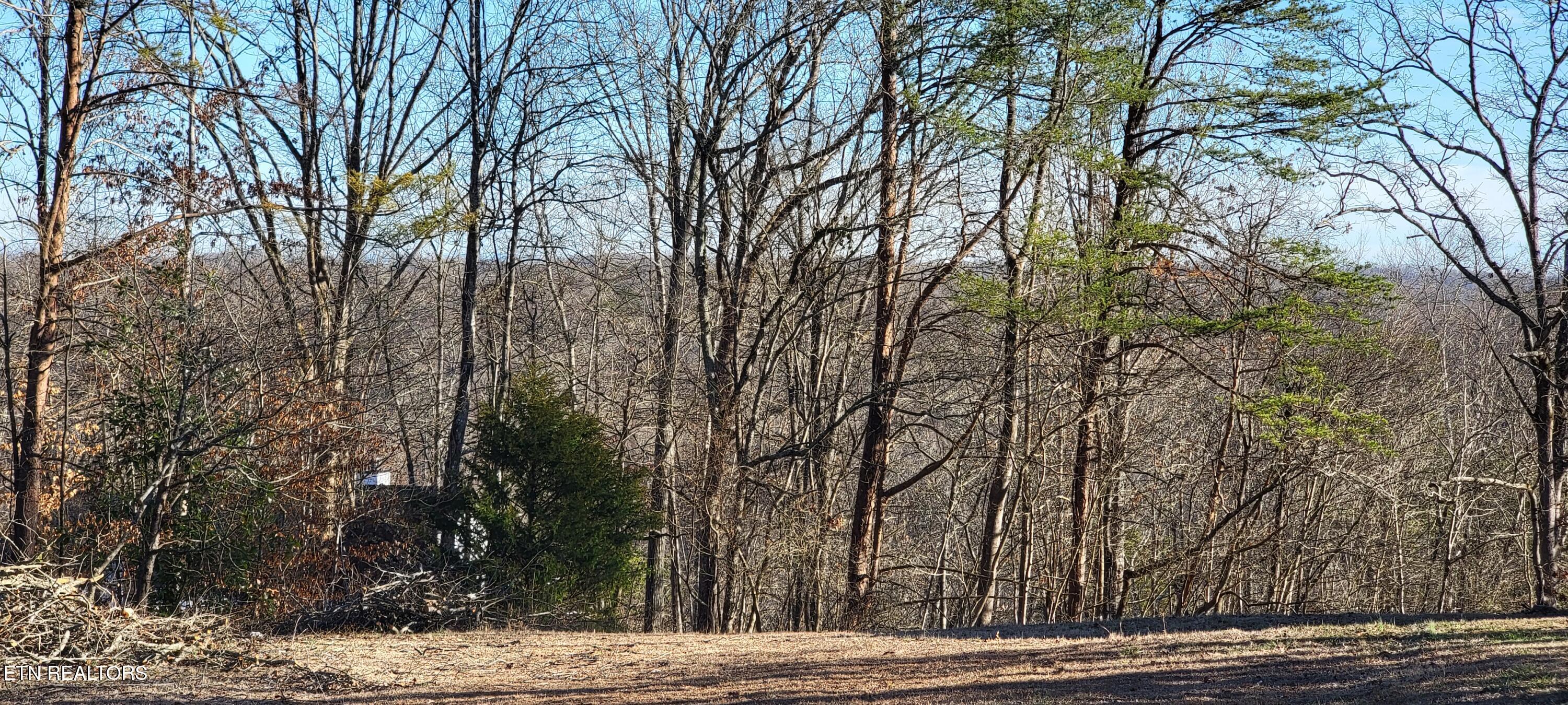 910 Skyline Drive Property Photo 27