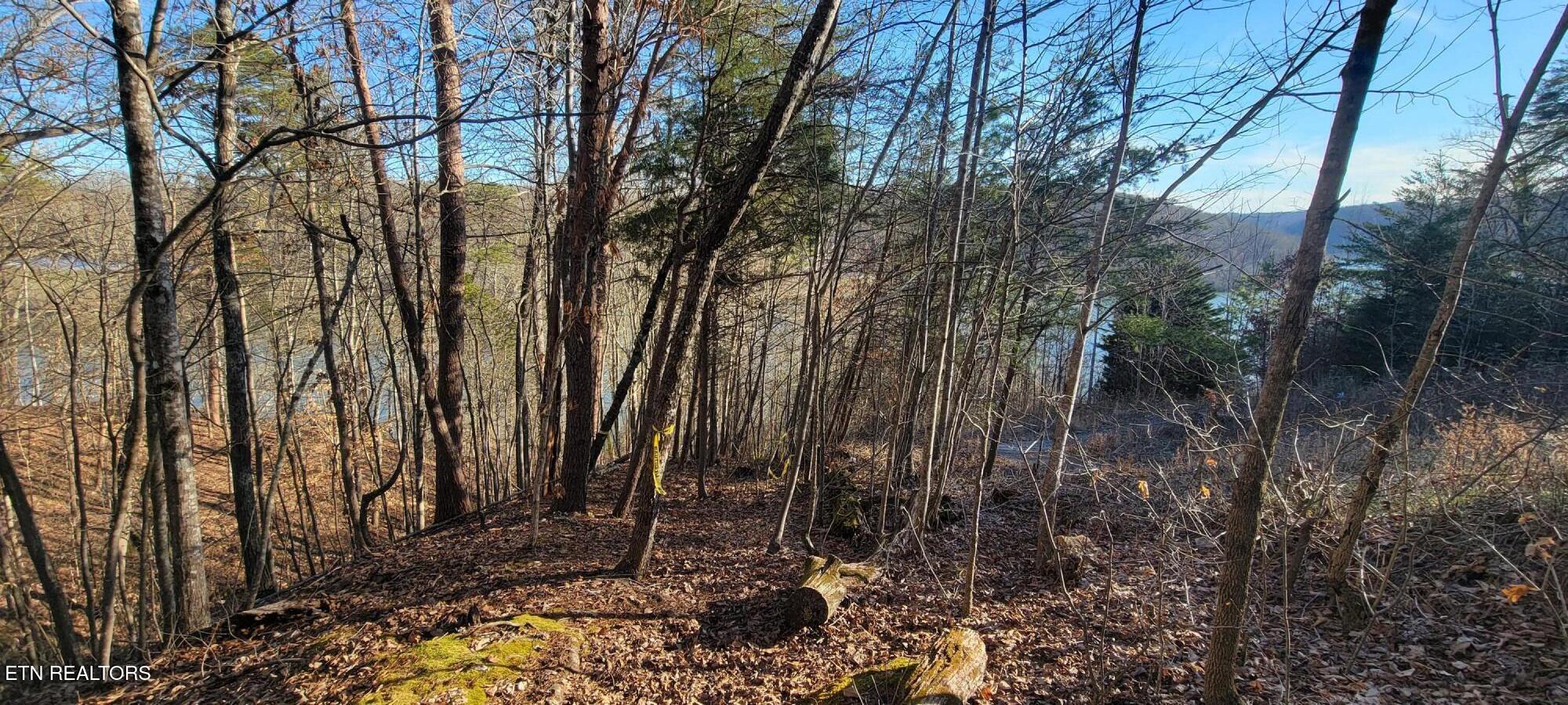 910 Skyline Drive Property Photo 28
