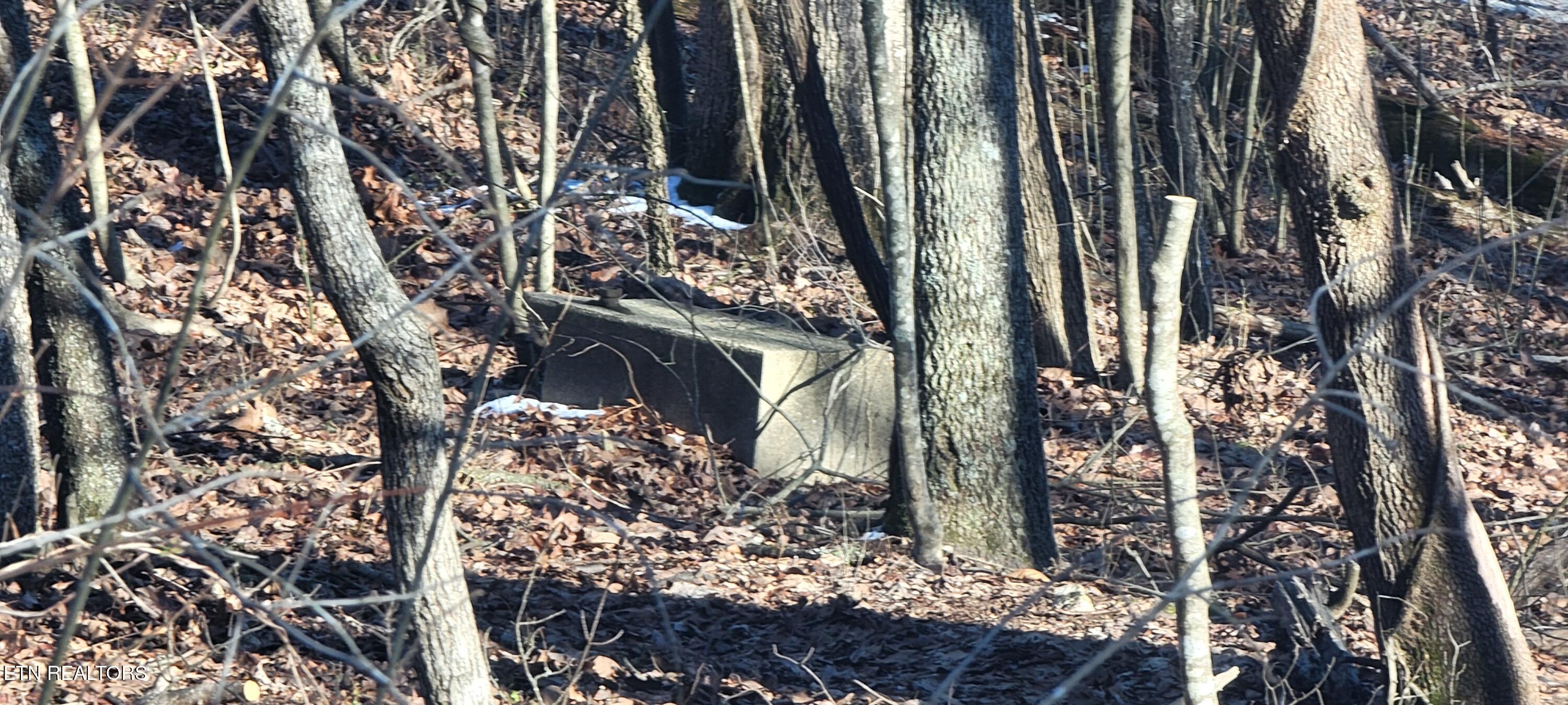 910 Skyline Drive Property Photo 29