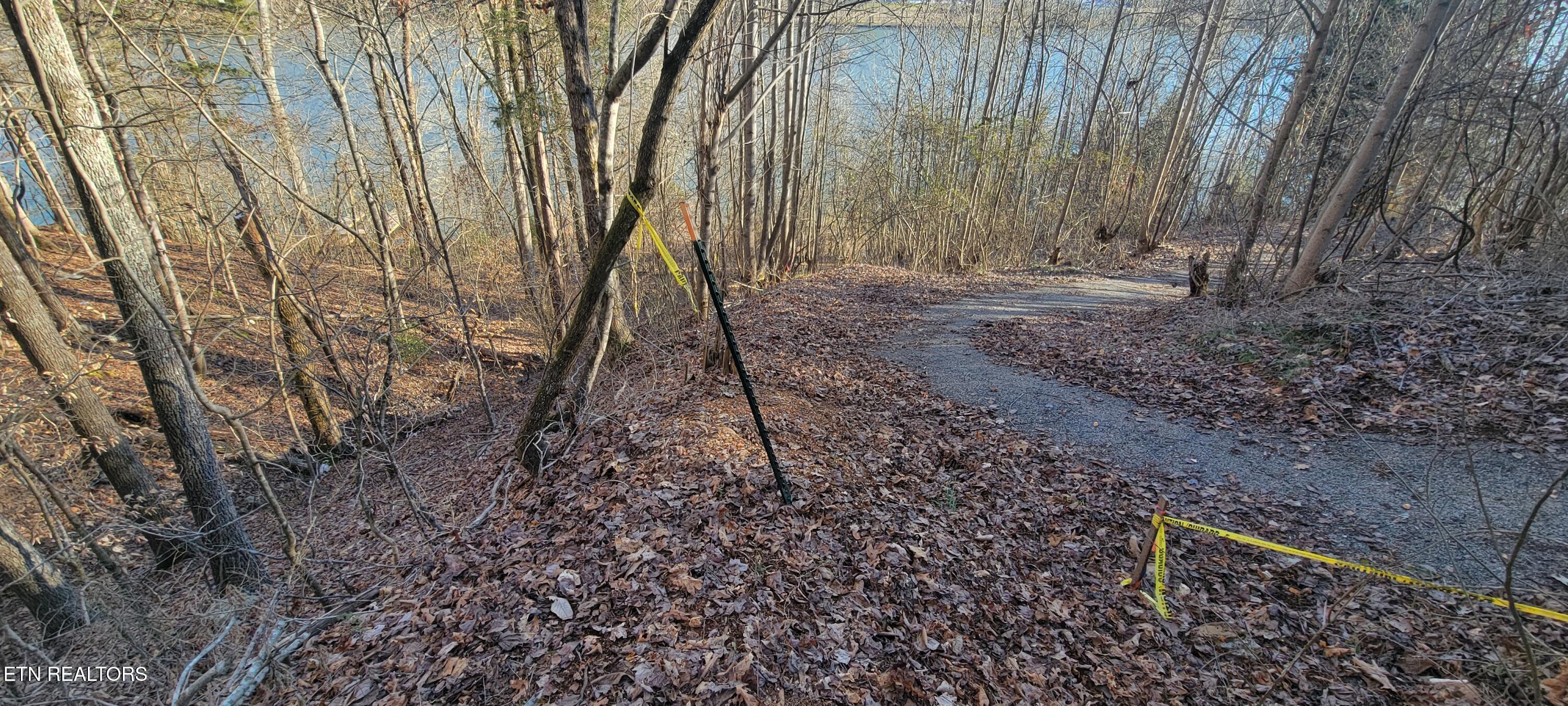 910 Skyline Drive Property Photo 30