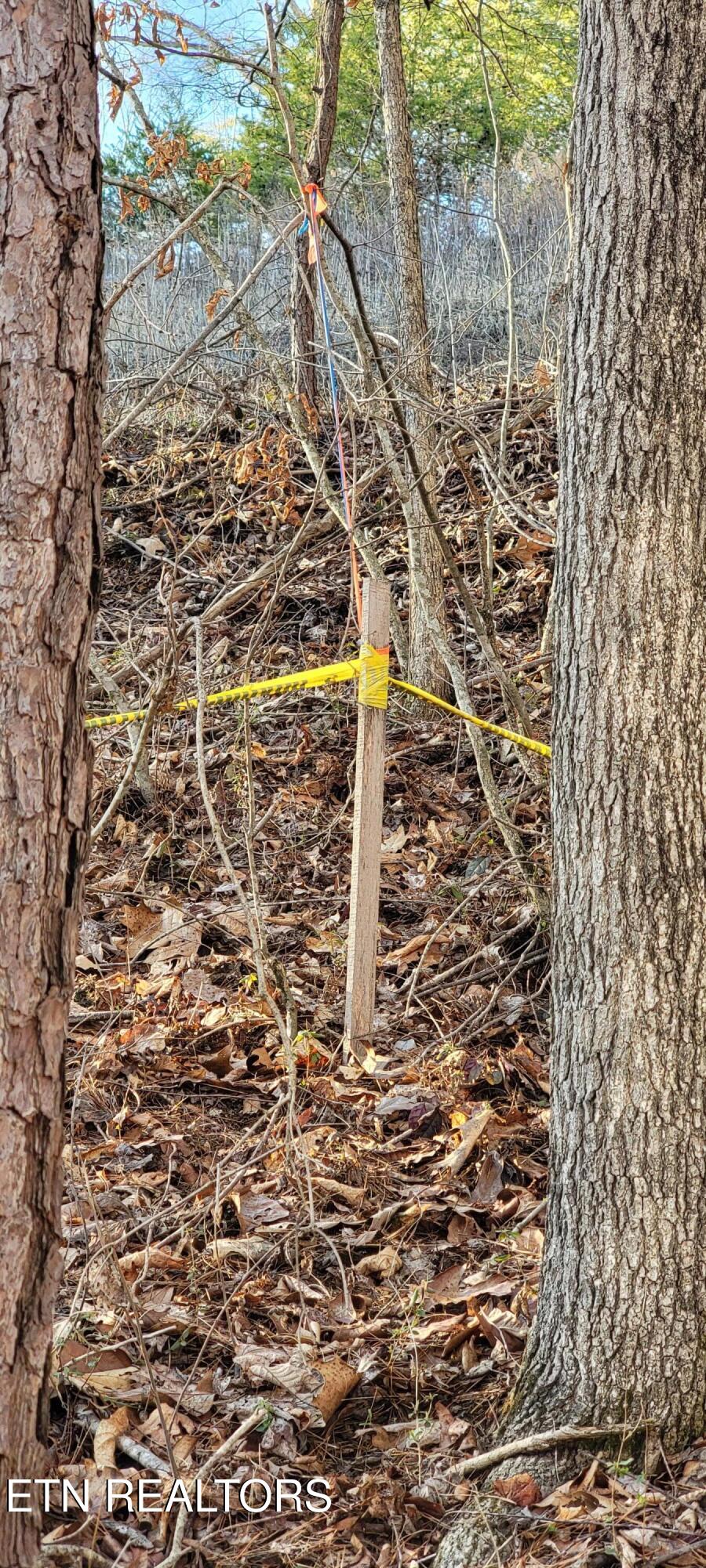 910 Skyline Drive Property Photo 31