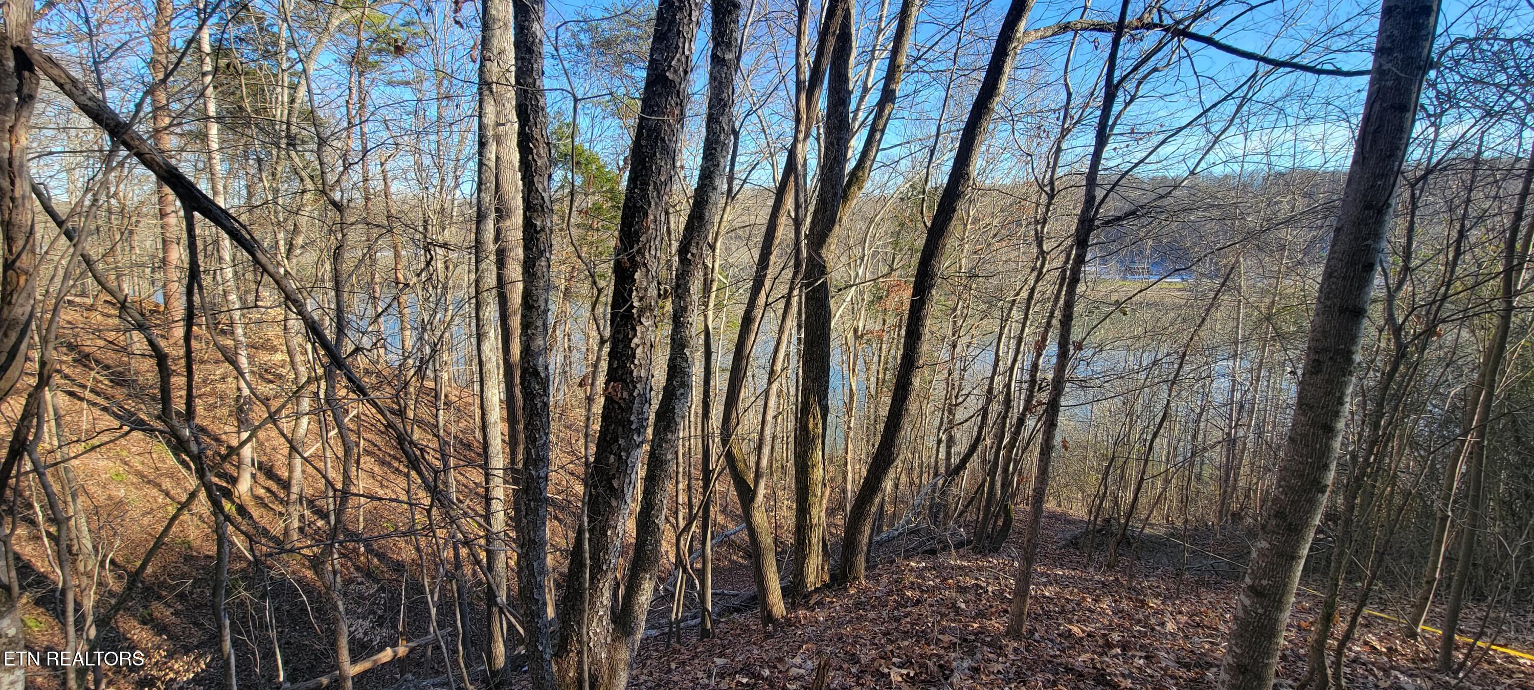 910 Skyline Drive Property Photo 32