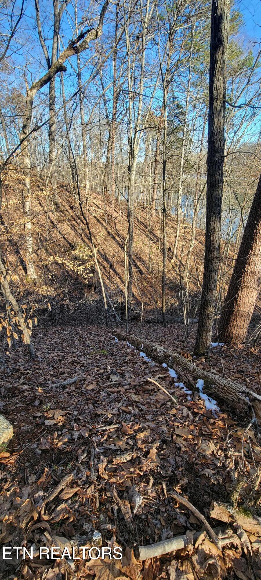 910 Skyline Drive Property Photo 33