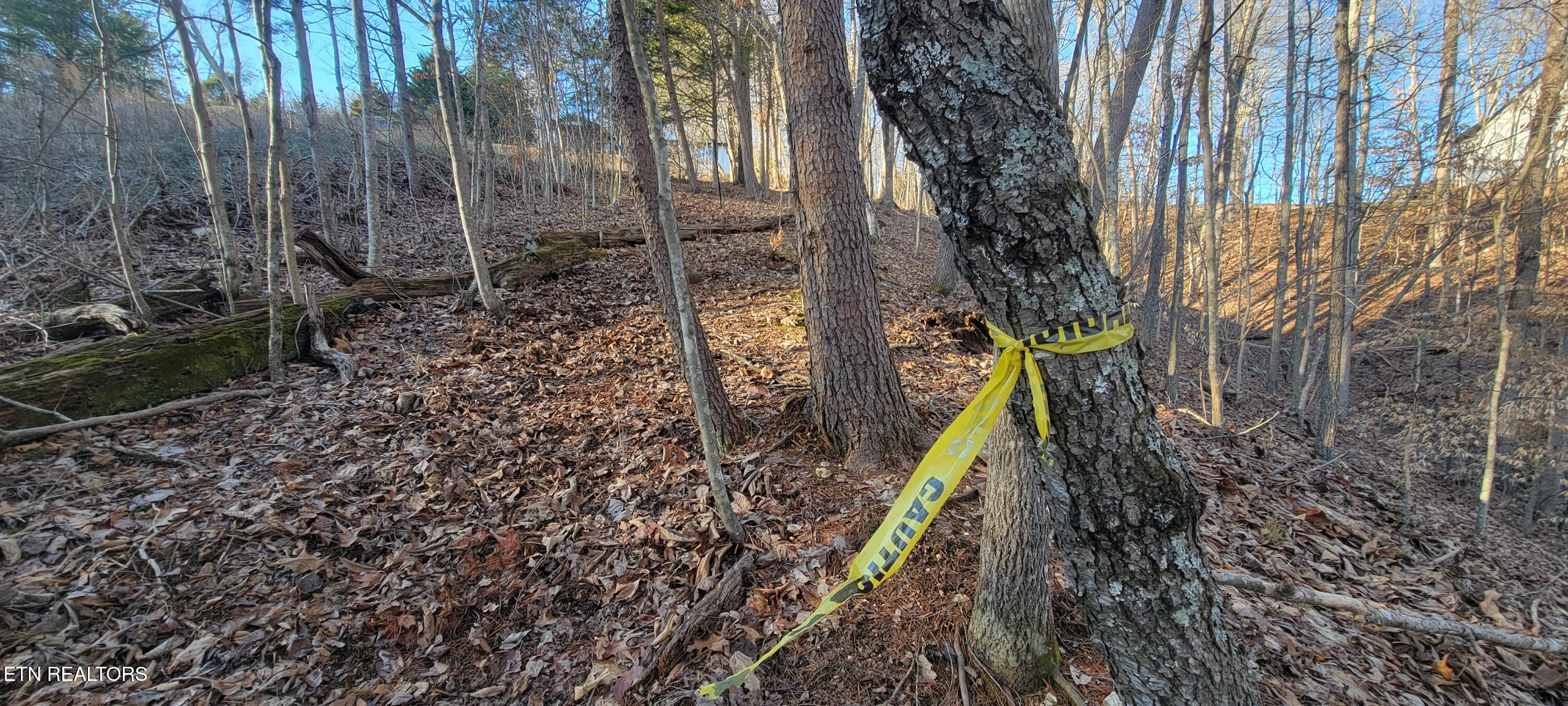 910 Skyline Drive Property Photo 34