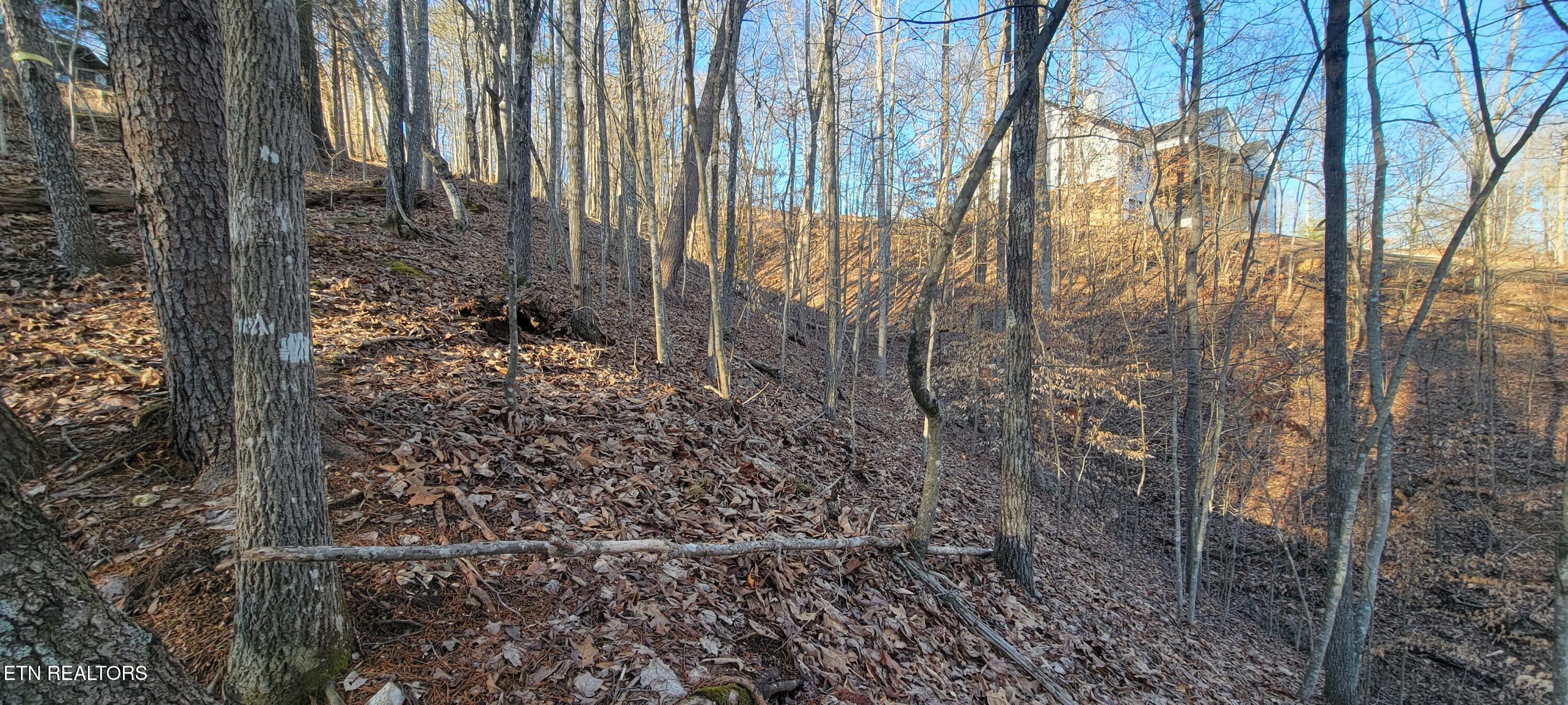 910 Skyline Drive Property Photo 35
