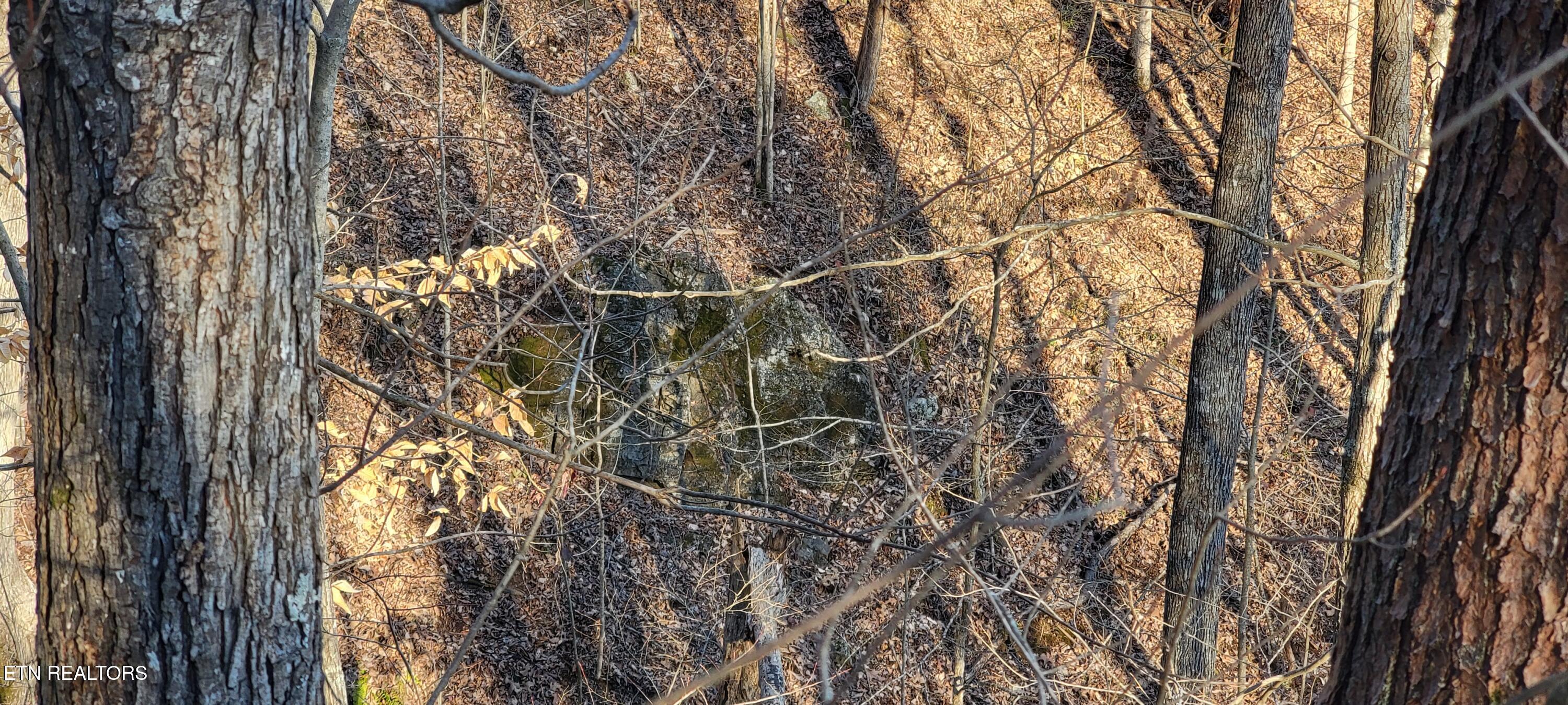 910 Skyline Drive Property Photo 36