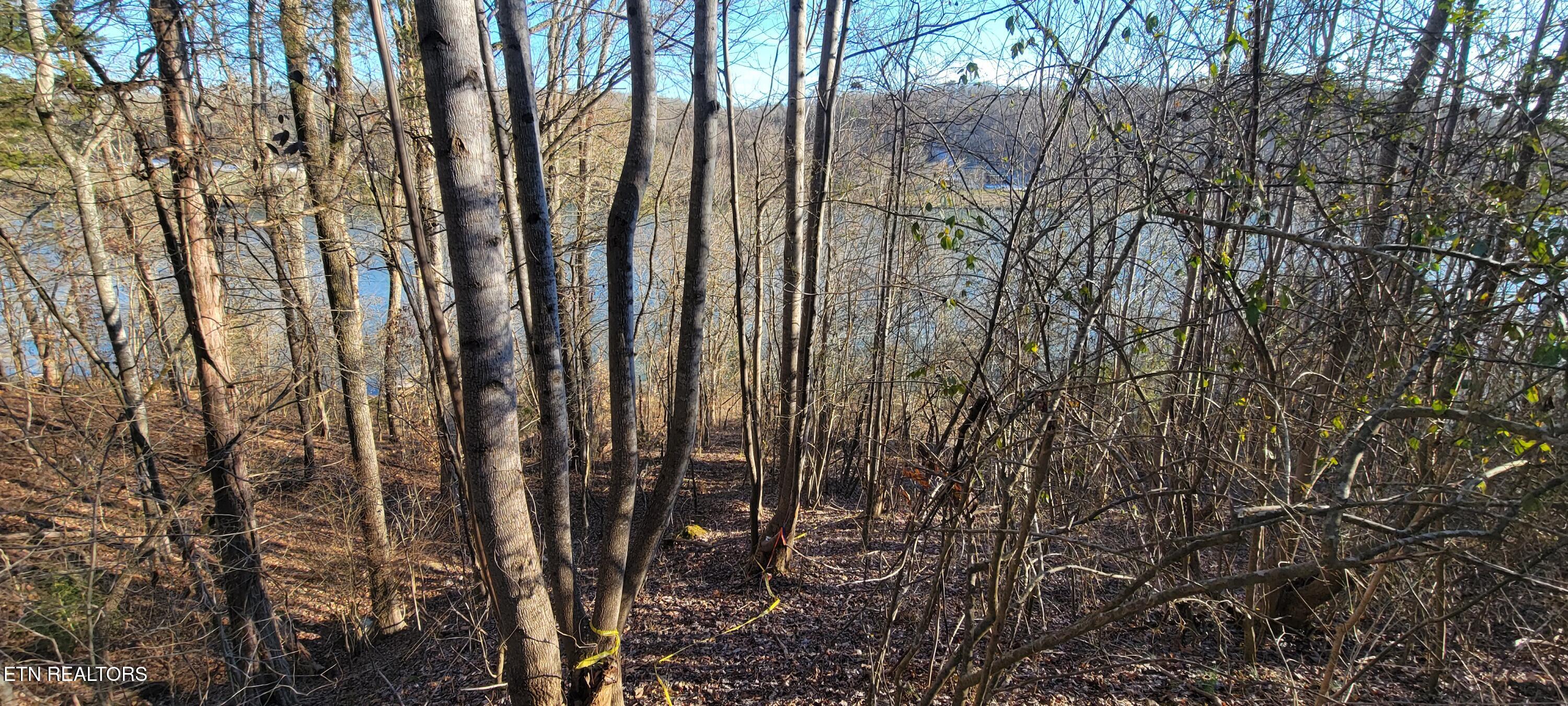 910 Skyline Drive Property Photo 37