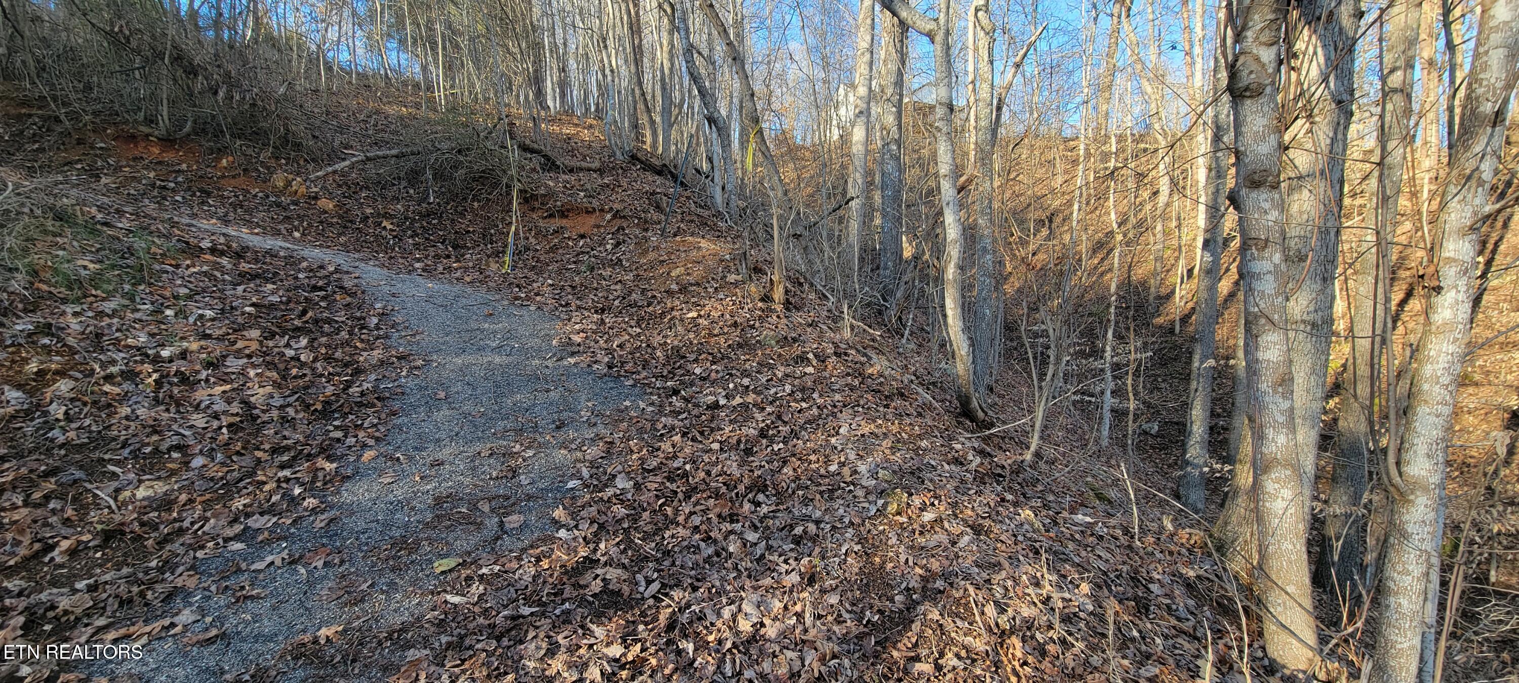 910 Skyline Drive Property Photo 38