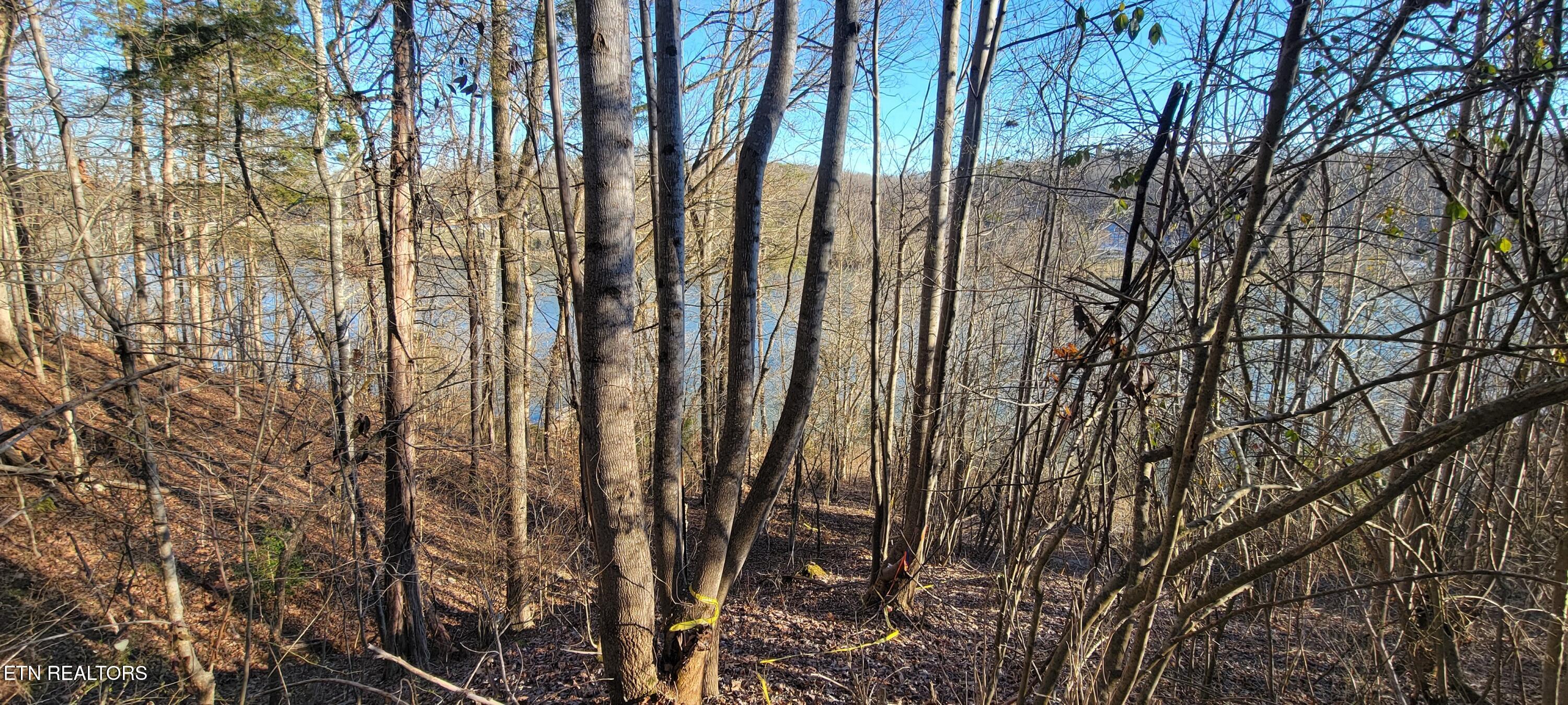 910 Skyline Drive Property Photo 39