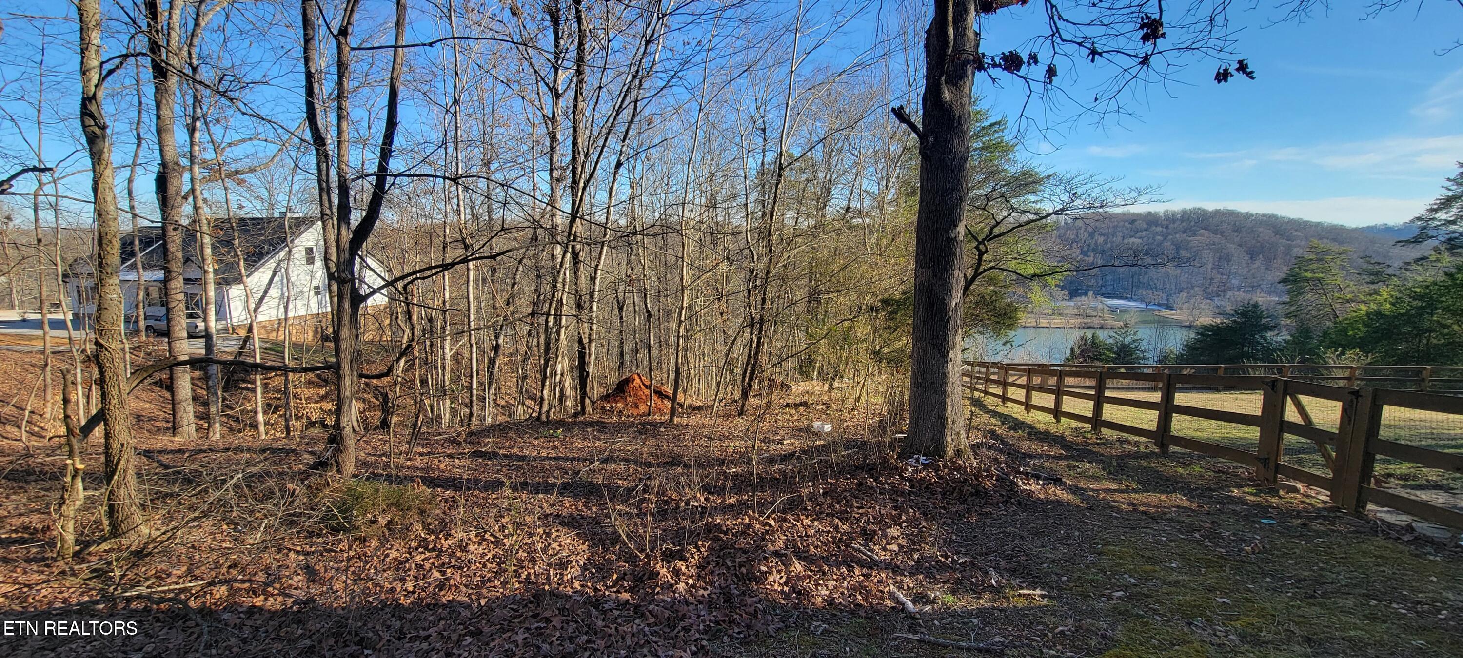 910 Skyline Drive Property Photo 40