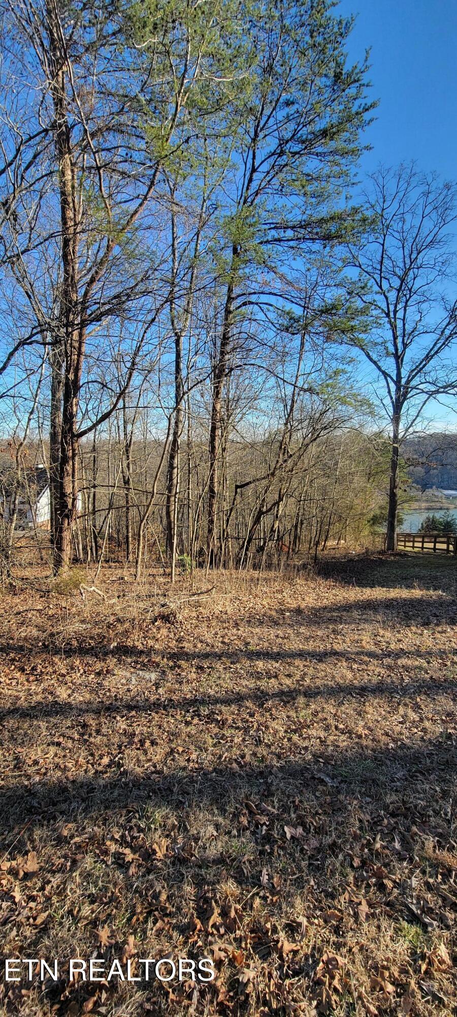 910 Skyline Drive Property Photo 41