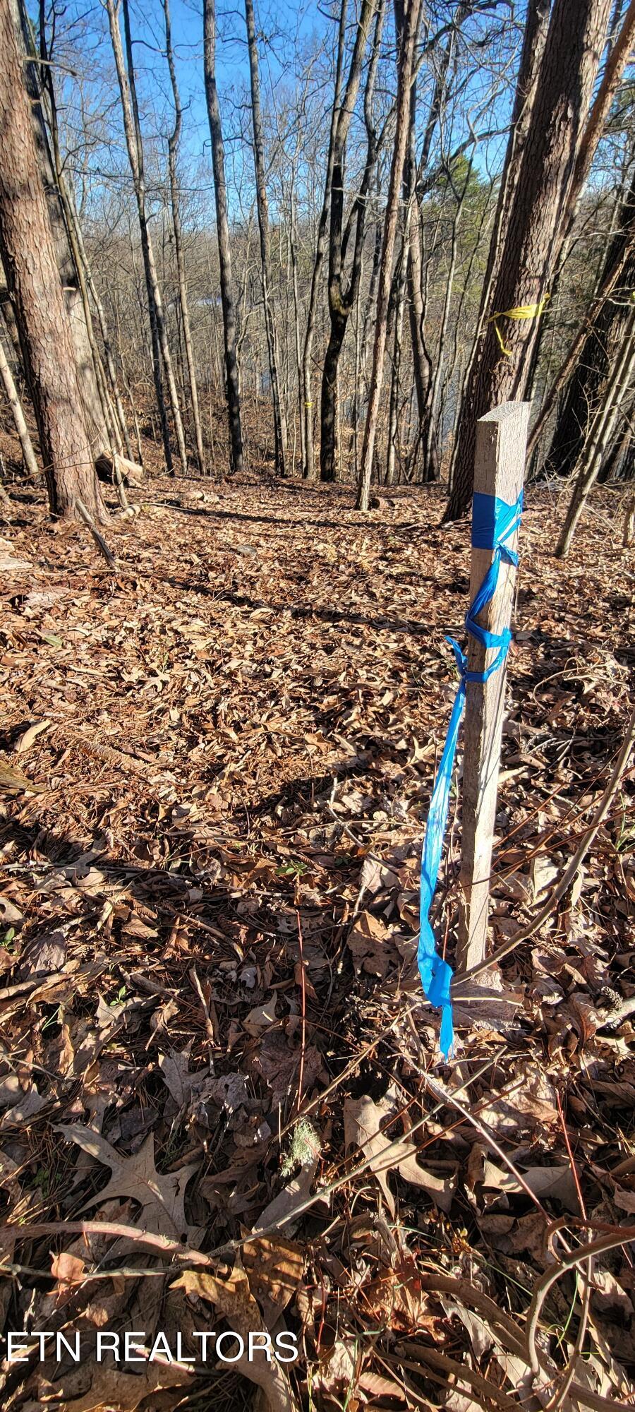 910 Skyline Drive Property Photo 42